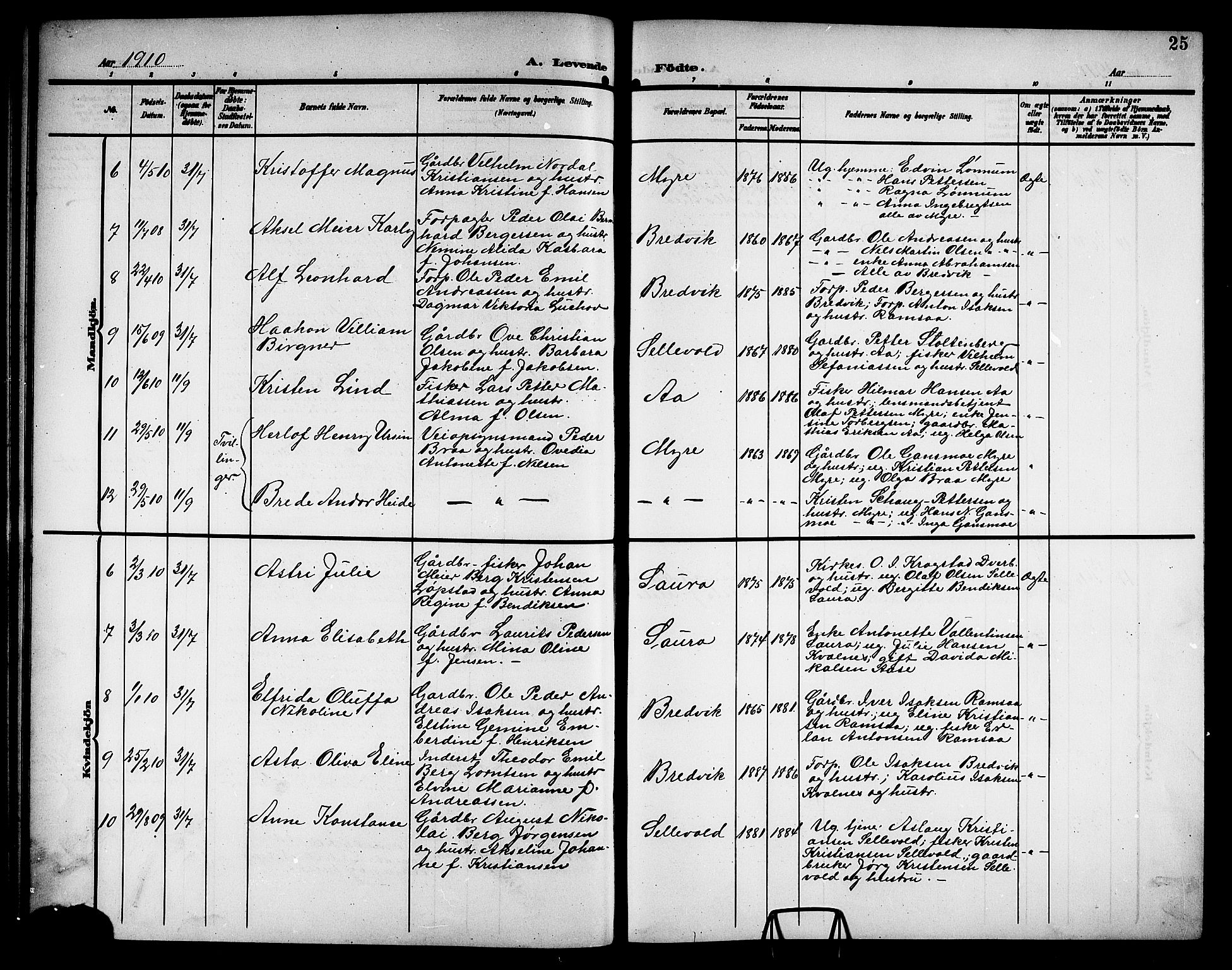 Ministerialprotokoller, klokkerbøker og fødselsregistre - Nordland, AV/SAT-A-1459/897/L1414: Klokkerbok nr. 897C04, 1904-1915, s. 25