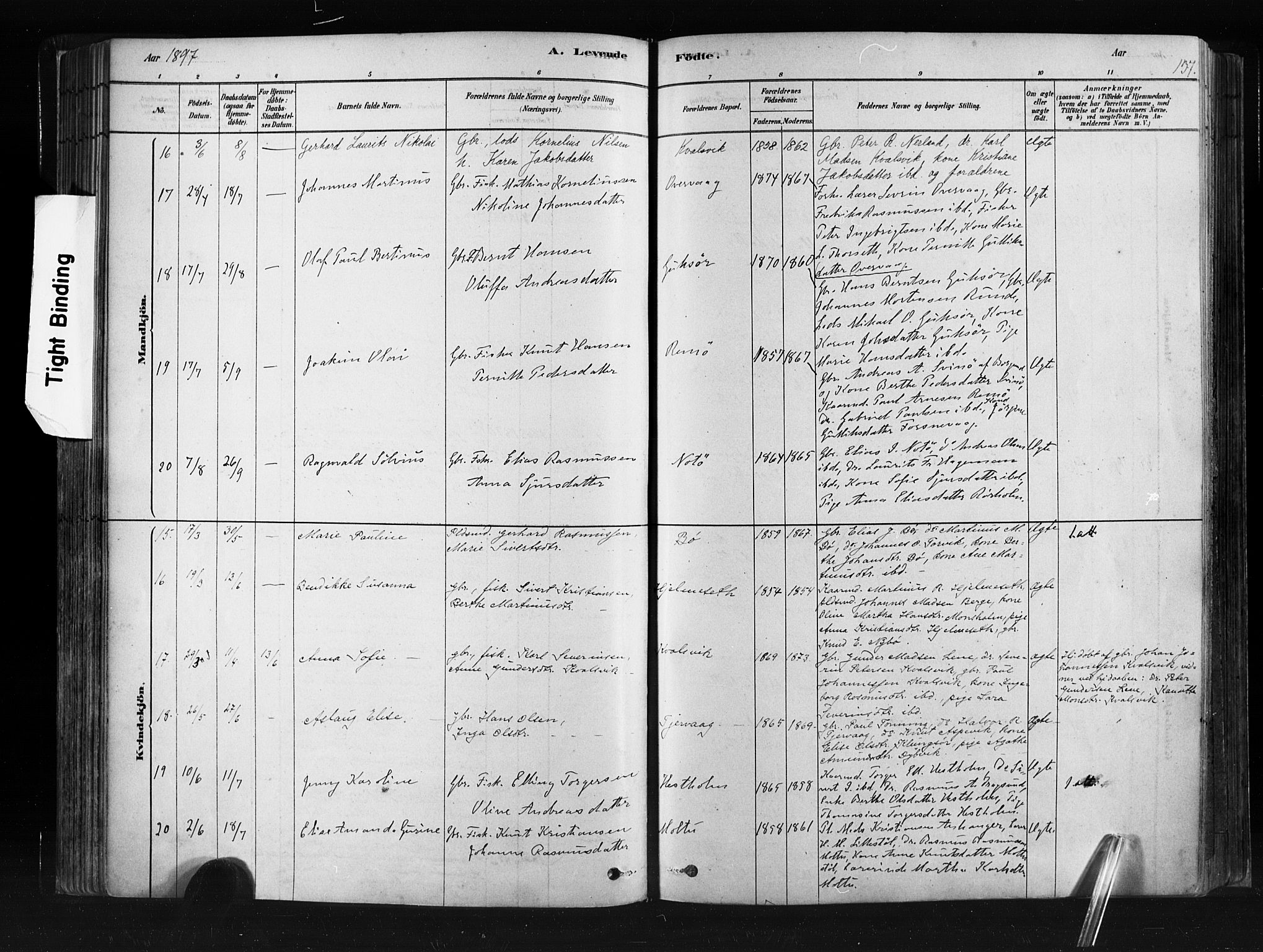 Ministerialprotokoller, klokkerbøker og fødselsregistre - Møre og Romsdal, AV/SAT-A-1454/507/L0073: Ministerialbok nr. 507A08, 1878-1904, s. 137