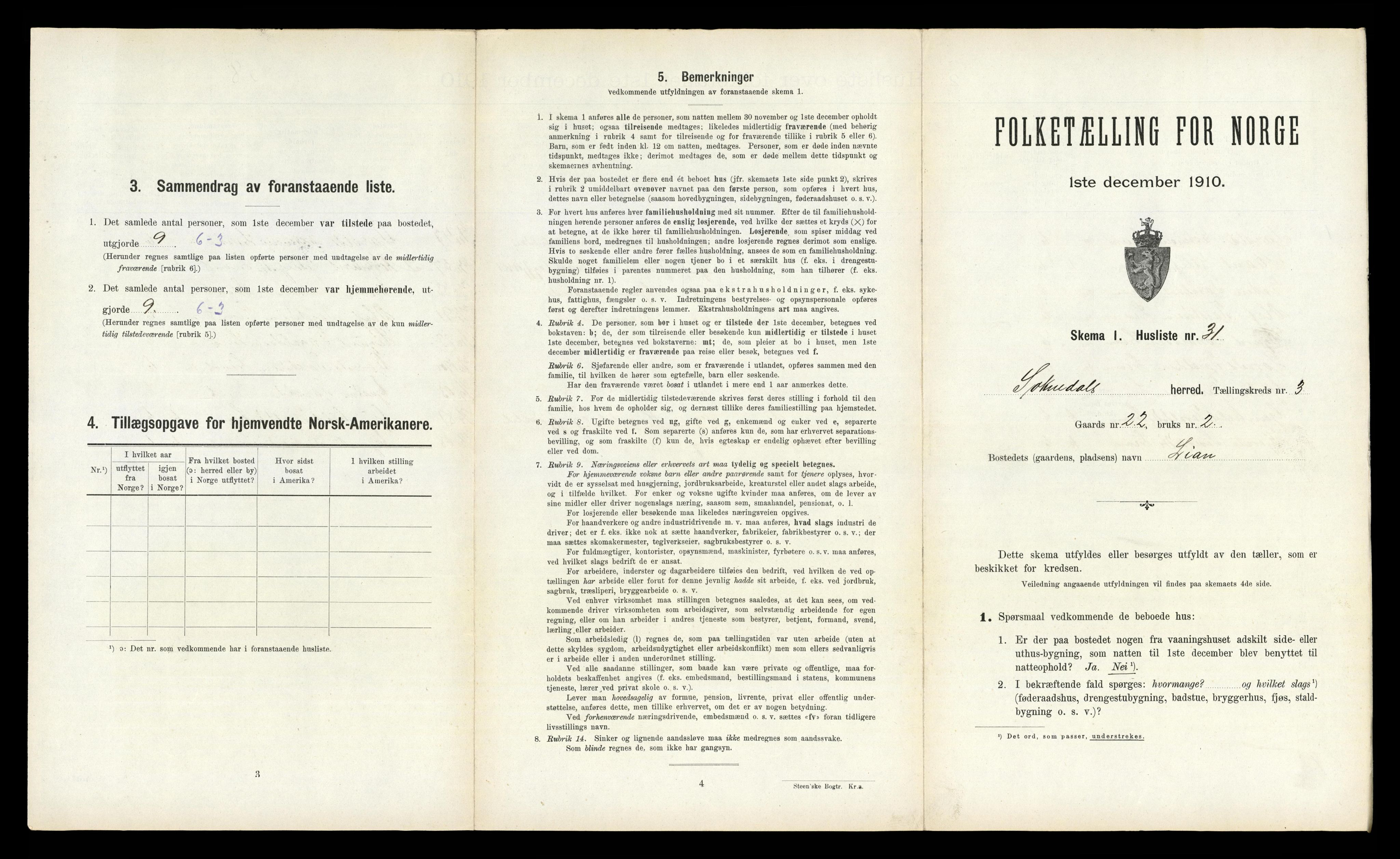 RA, Folketelling 1910 for 1649 Soknedal herred, 1910, s. 255