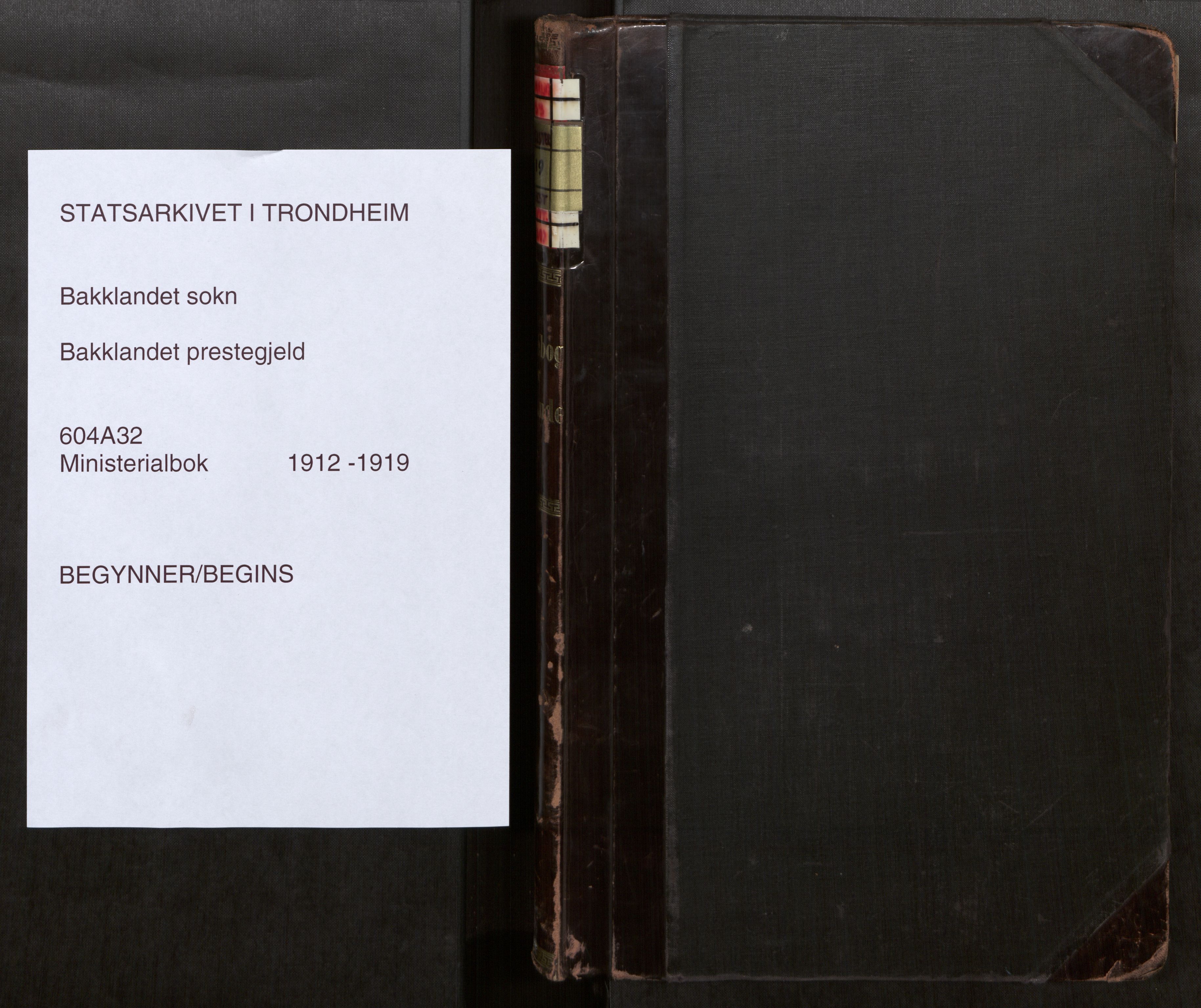Bakklandet sokneprestkontor, SAT/A-1127: Ministerialbok nr. 604A32, 1912-1919