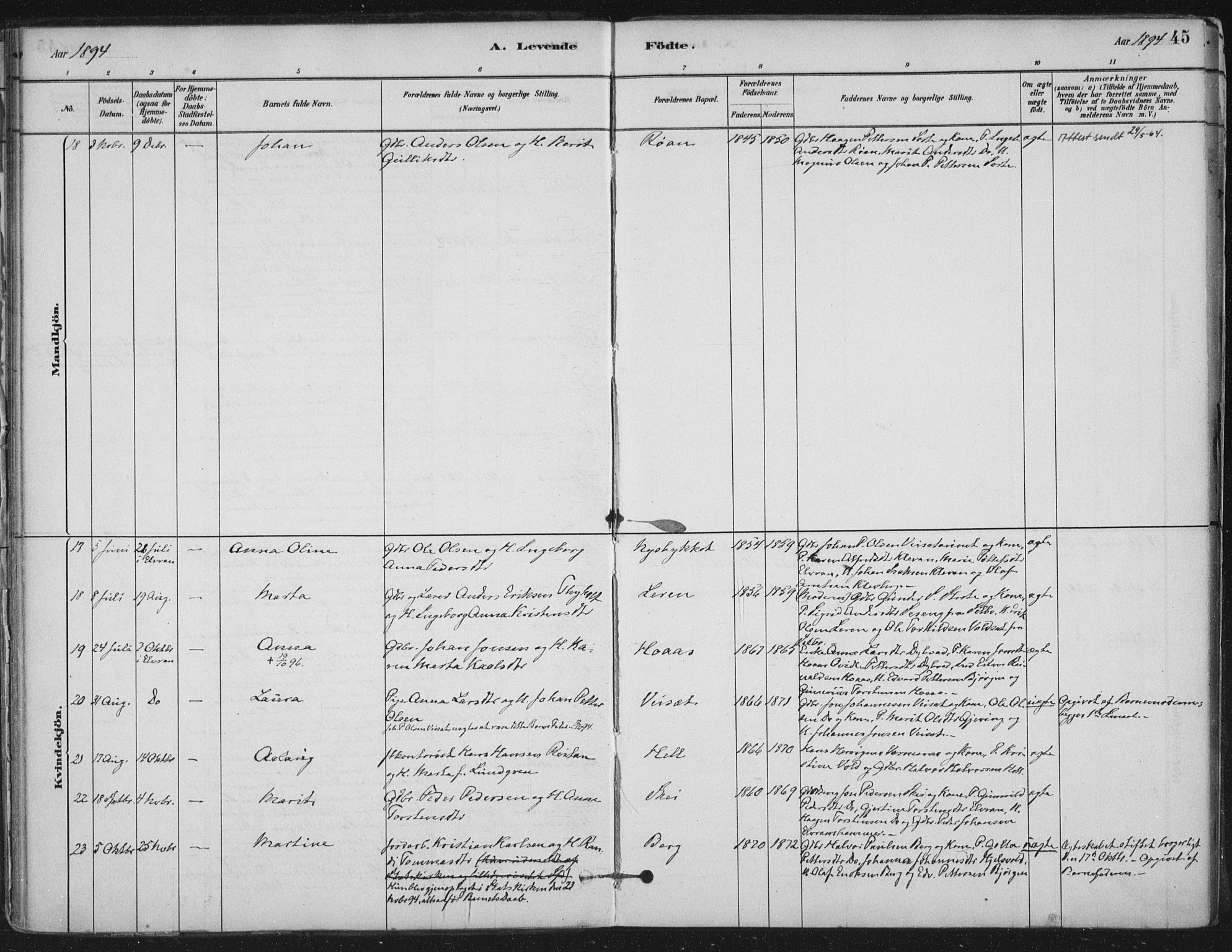 Ministerialprotokoller, klokkerbøker og fødselsregistre - Nord-Trøndelag, SAT/A-1458/710/L0095: Ministerialbok nr. 710A01, 1880-1914, s. 45