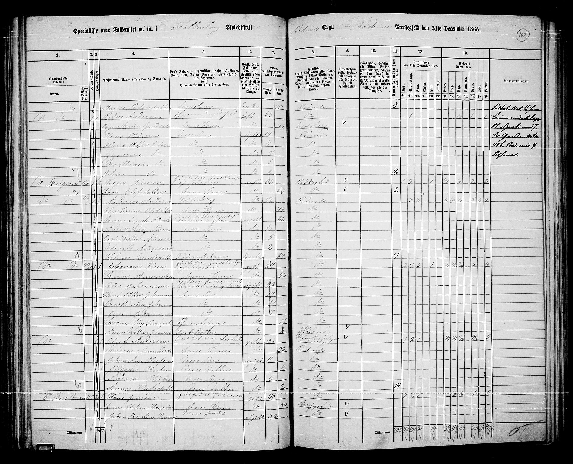 RA, Folketelling 1865 for 0120P Rødenes prestegjeld, 1865, s. 91