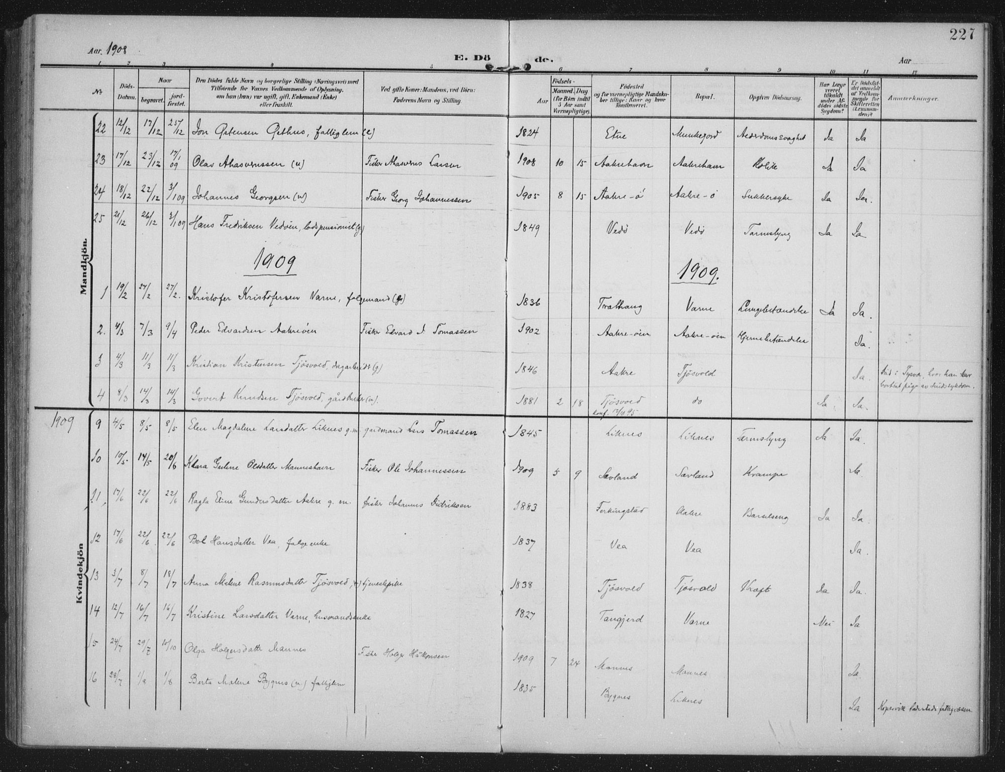 Kopervik sokneprestkontor, AV/SAST-A-101850/H/Ha/Haa/L0005: Ministerialbok nr. A 5, 1906-1924, s. 227