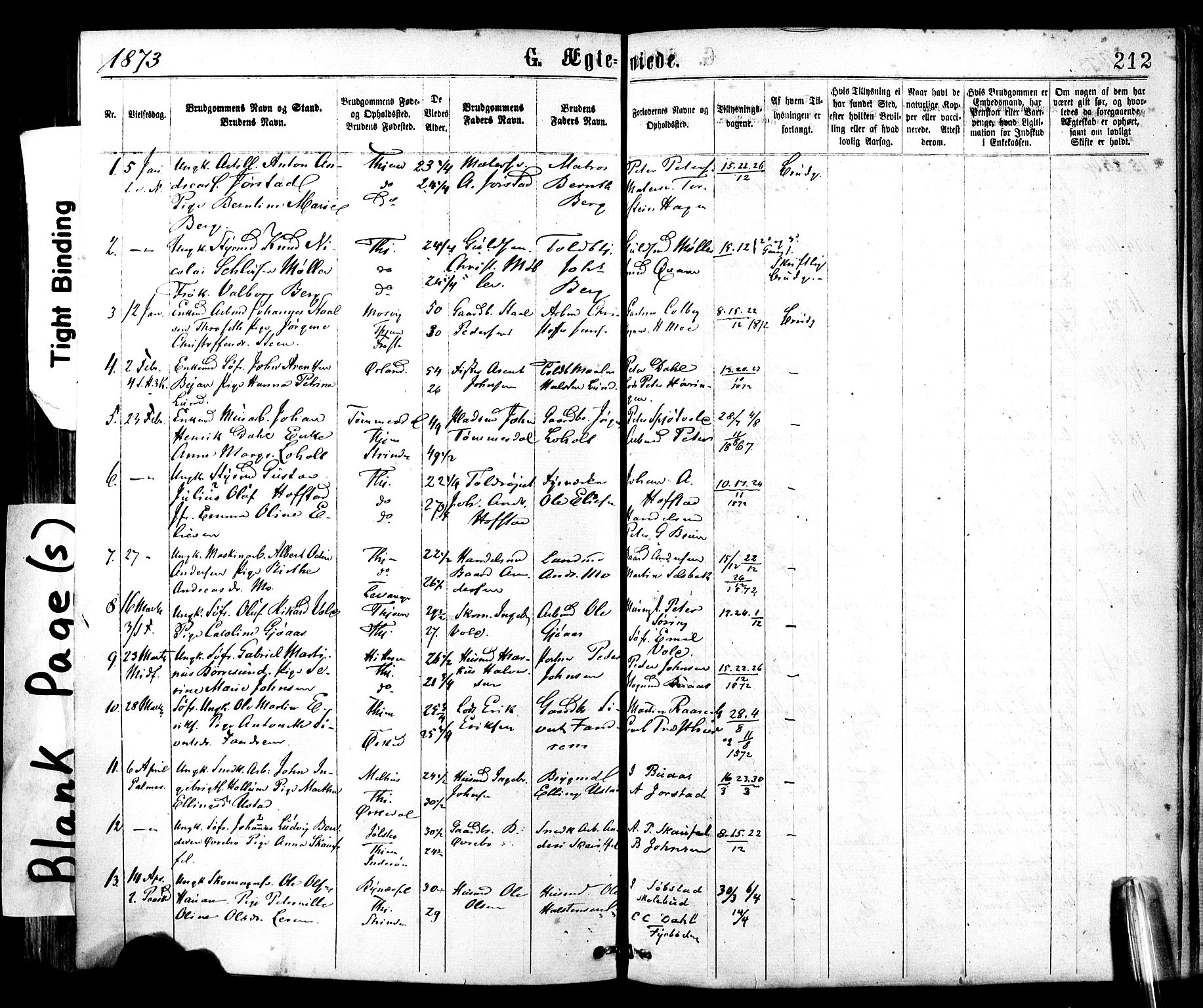 Ministerialprotokoller, klokkerbøker og fødselsregistre - Sør-Trøndelag, SAT/A-1456/602/L0118: Ministerialbok nr. 602A16, 1873-1879, s. 212