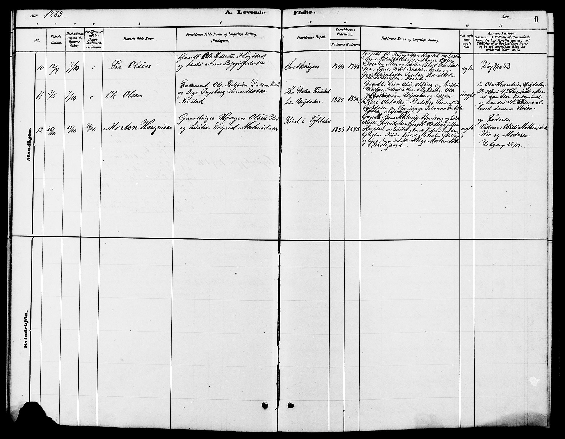 Tynset prestekontor, AV/SAH-PREST-058/H/Ha/Hab/L0007: Klokkerbok nr. 7, 1880-1901, s. 9