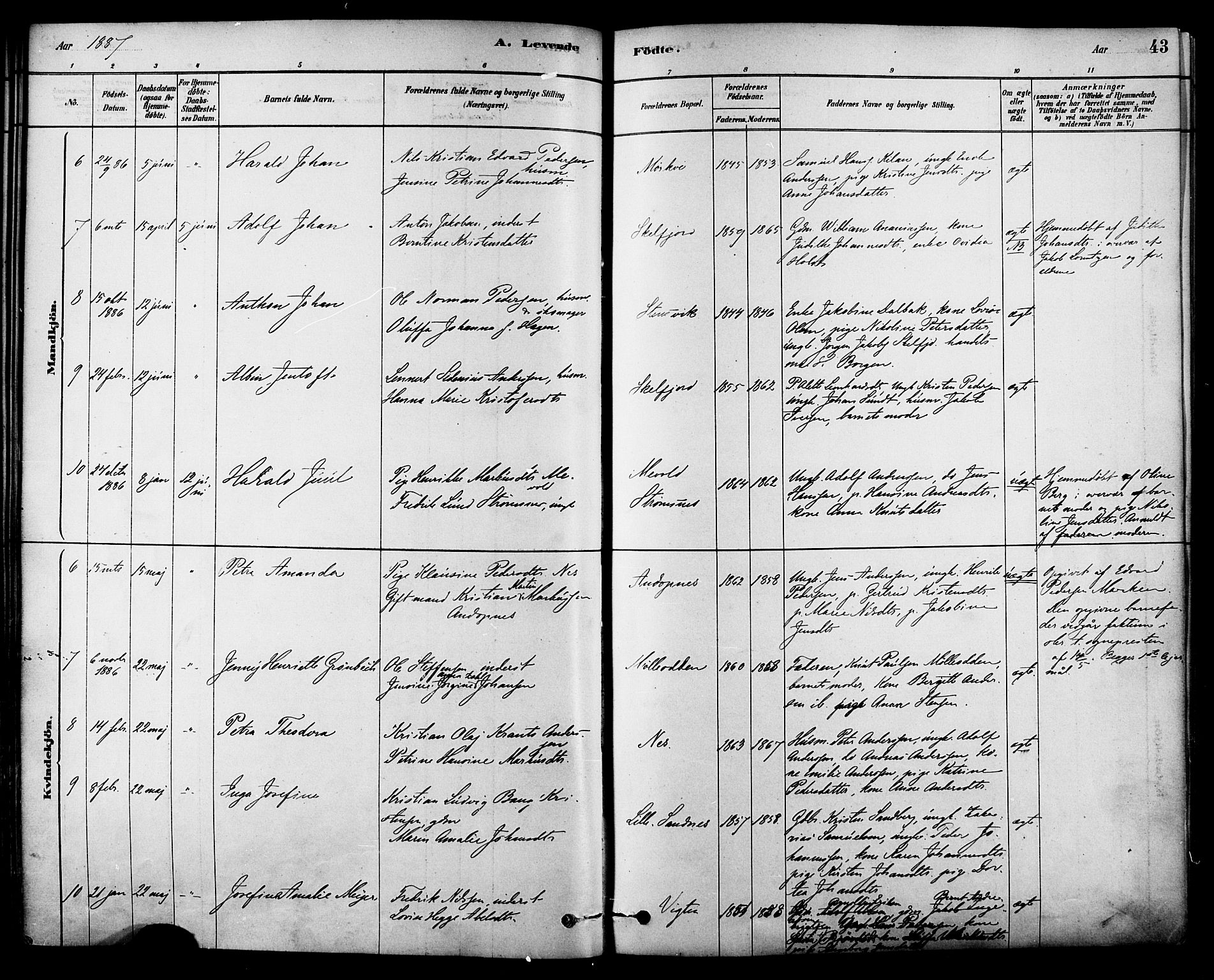 Ministerialprotokoller, klokkerbøker og fødselsregistre - Nordland, AV/SAT-A-1459/885/L1204: Ministerialbok nr. 885A05, 1878-1892, s. 43