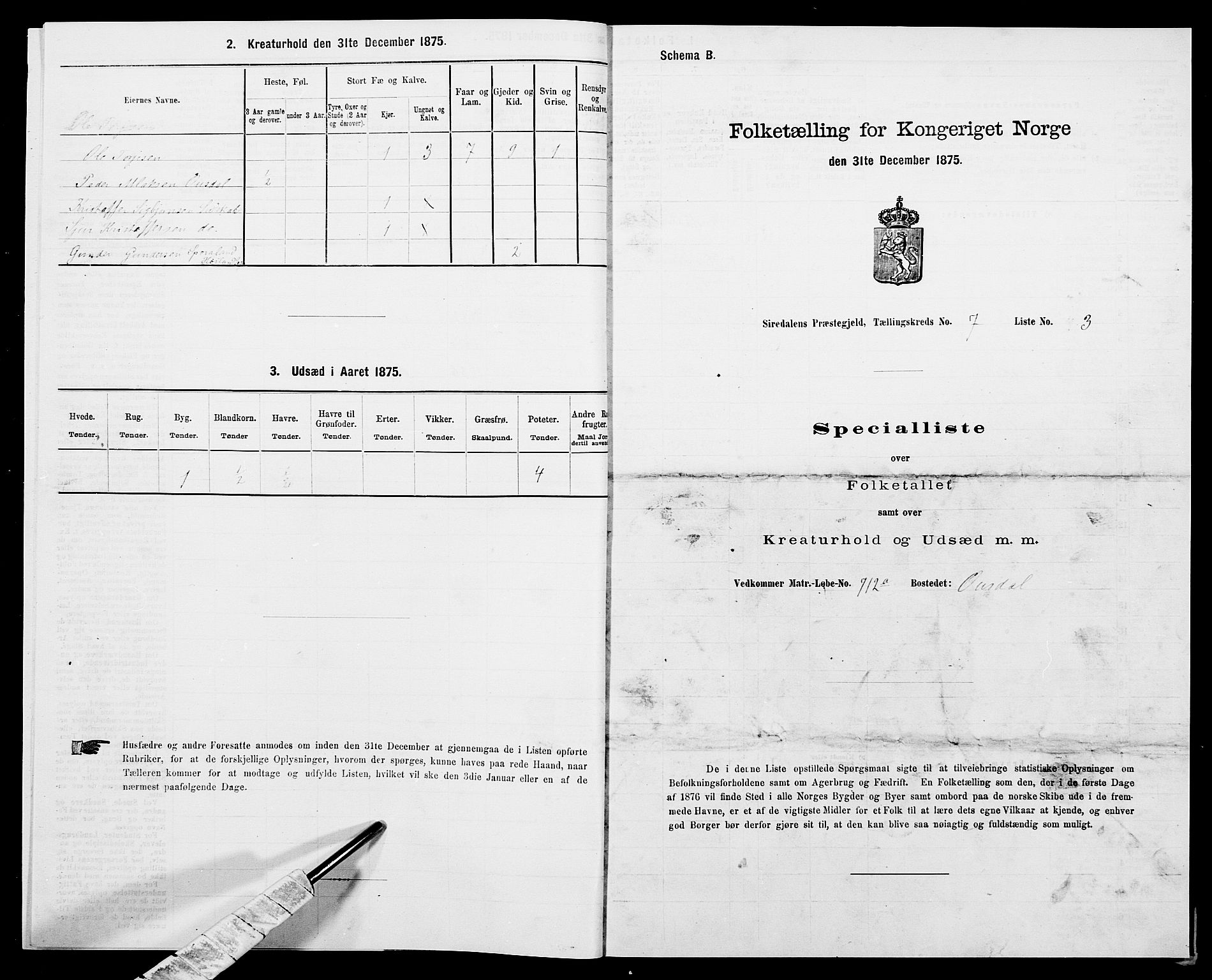 SAK, Folketelling 1875 for 1046P Sirdal prestegjeld, 1875, s. 580