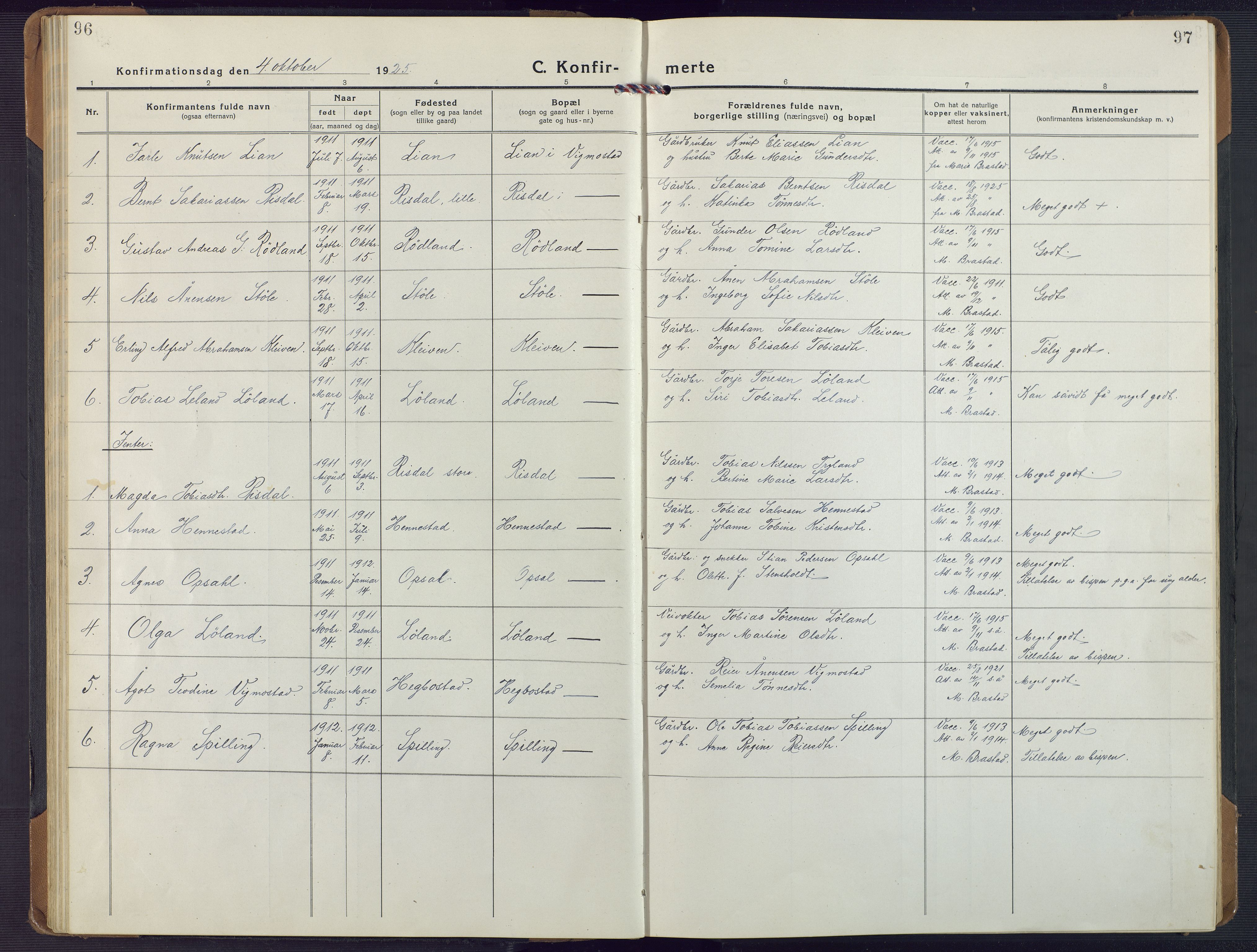 Nord-Audnedal sokneprestkontor, SAK/1111-0032/F/Fa/Fab/L0005: Ministerialbok nr. A 5, 1918-1925, s. 96-97