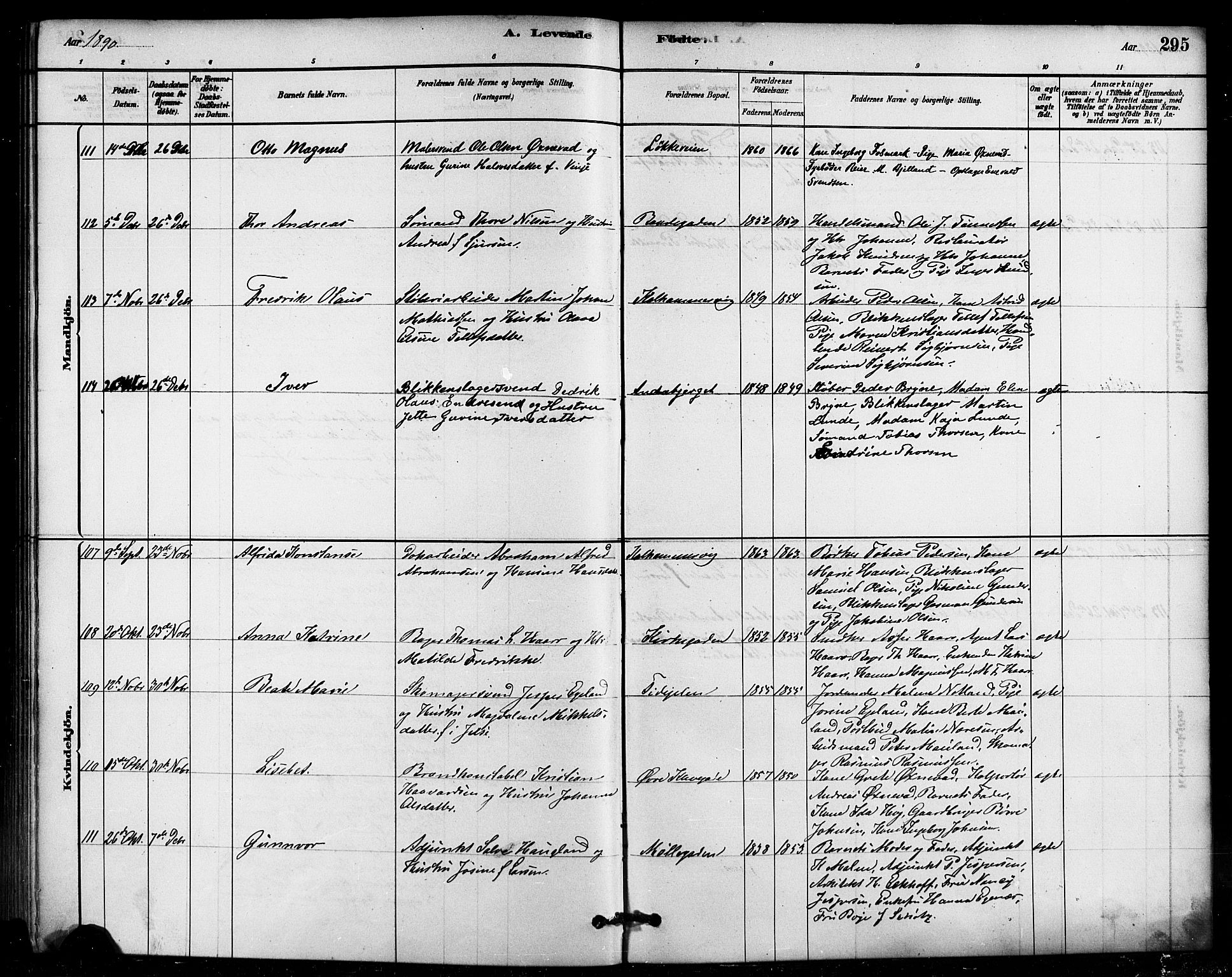 Domkirken sokneprestkontor, AV/SAST-A-101812/001/30/30BB/L0015: Klokkerbok nr. B 15, 1880-1891, s. 295