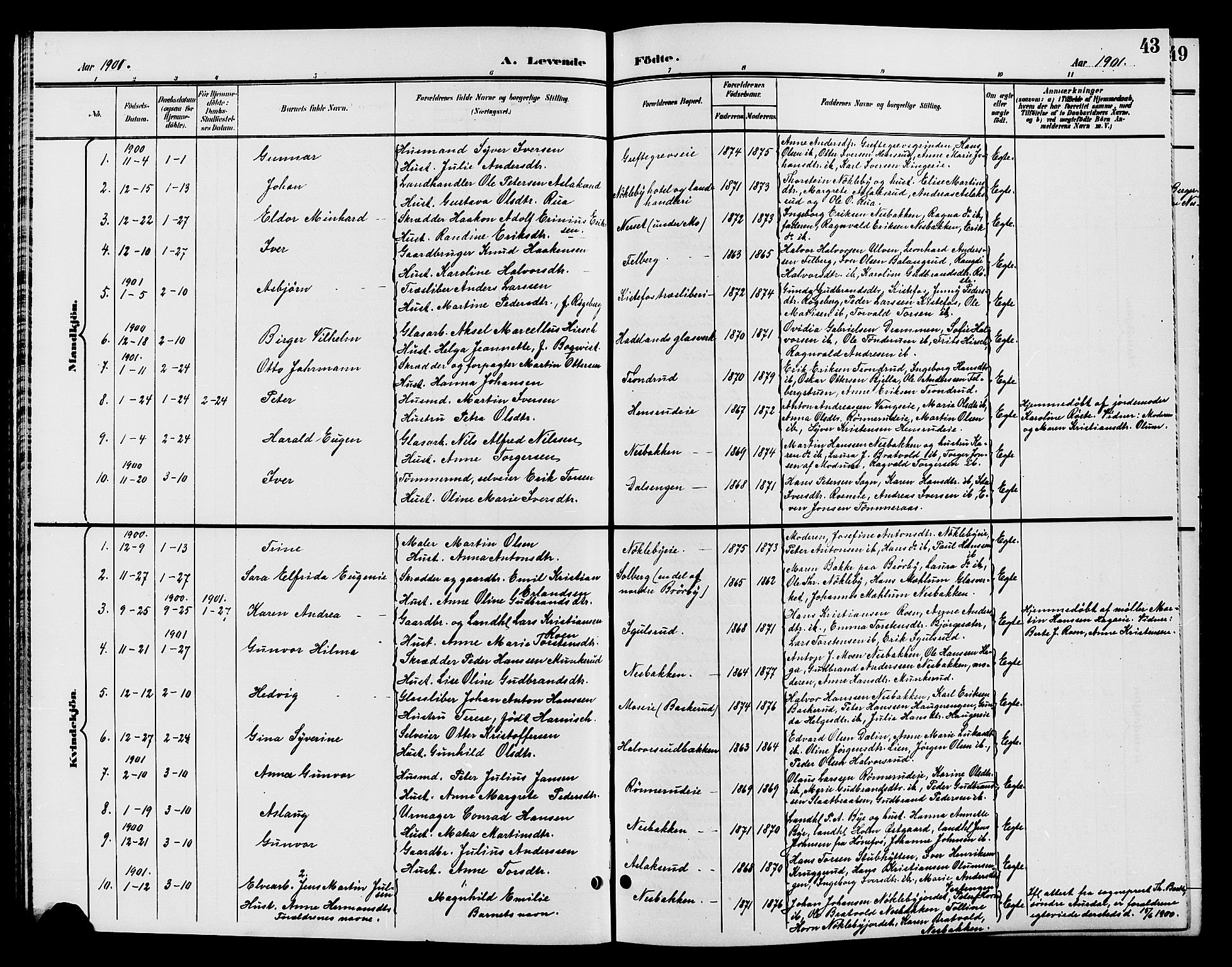 Jevnaker prestekontor, AV/SAH-PREST-116/H/Ha/Hab/L0002: Klokkerbok nr. 2, 1896-1906, s. 43