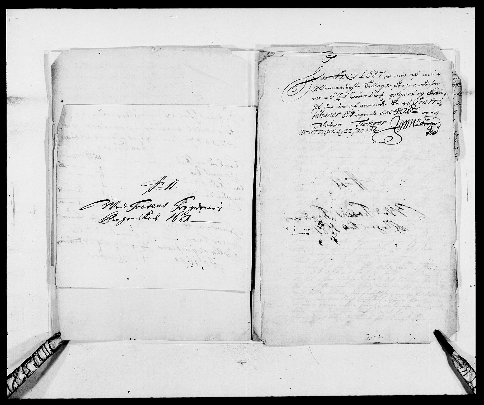Rentekammeret inntil 1814, Reviderte regnskaper, Fogderegnskap, AV/RA-EA-4092/R57/L3845: Fogderegnskap Fosen, 1687, s. 214