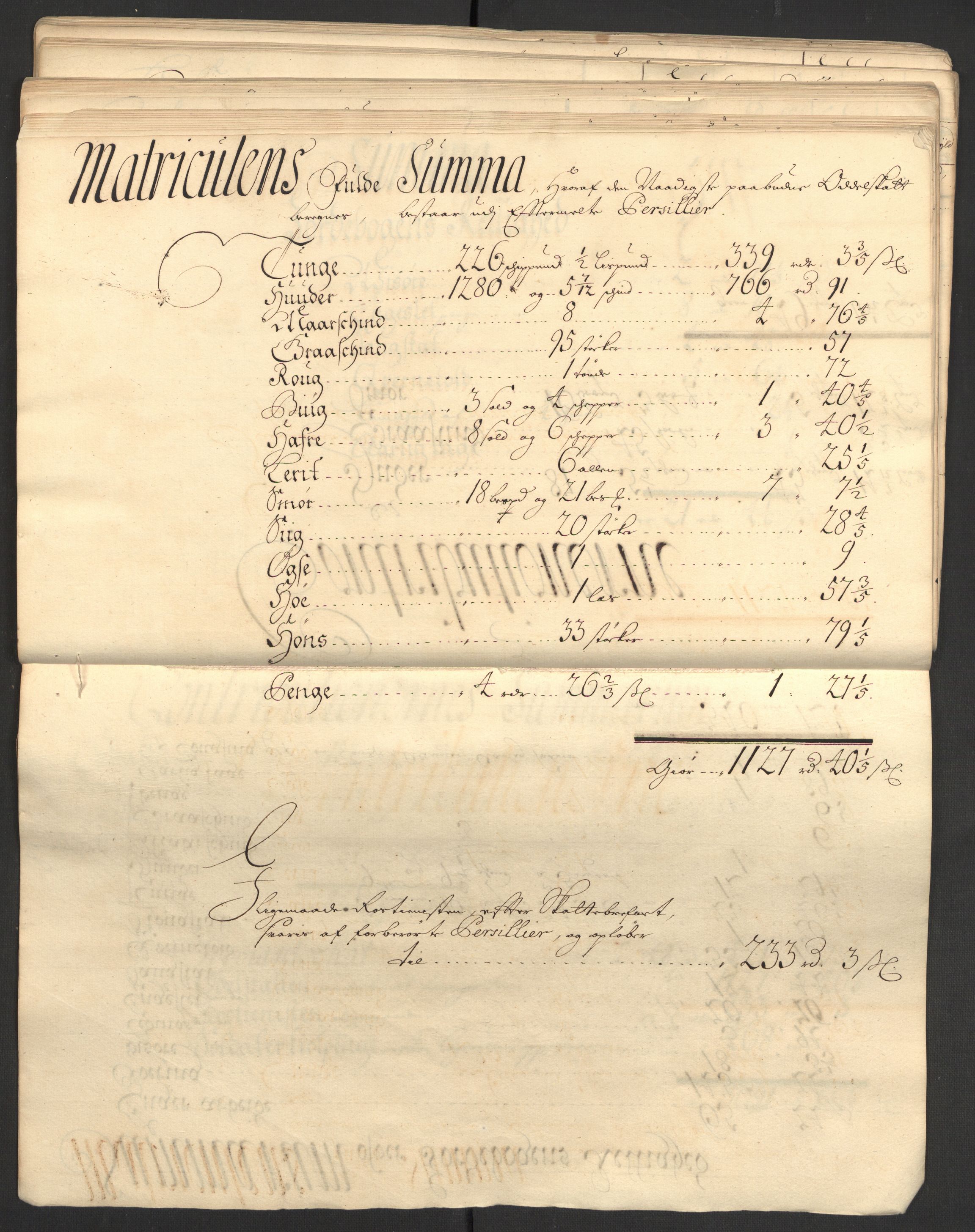 Rentekammeret inntil 1814, Reviderte regnskaper, Fogderegnskap, AV/RA-EA-4092/R13/L0843: Fogderegnskap Solør, Odal og Østerdal, 1705-1706, s. 100