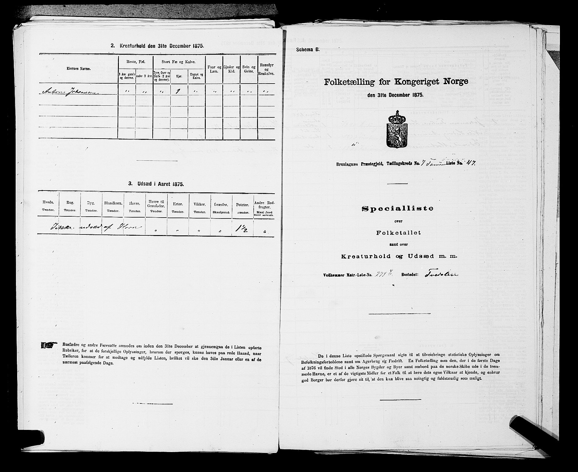 SAKO, Folketelling 1875 for 0726P Brunlanes prestegjeld, 1875, s. 881