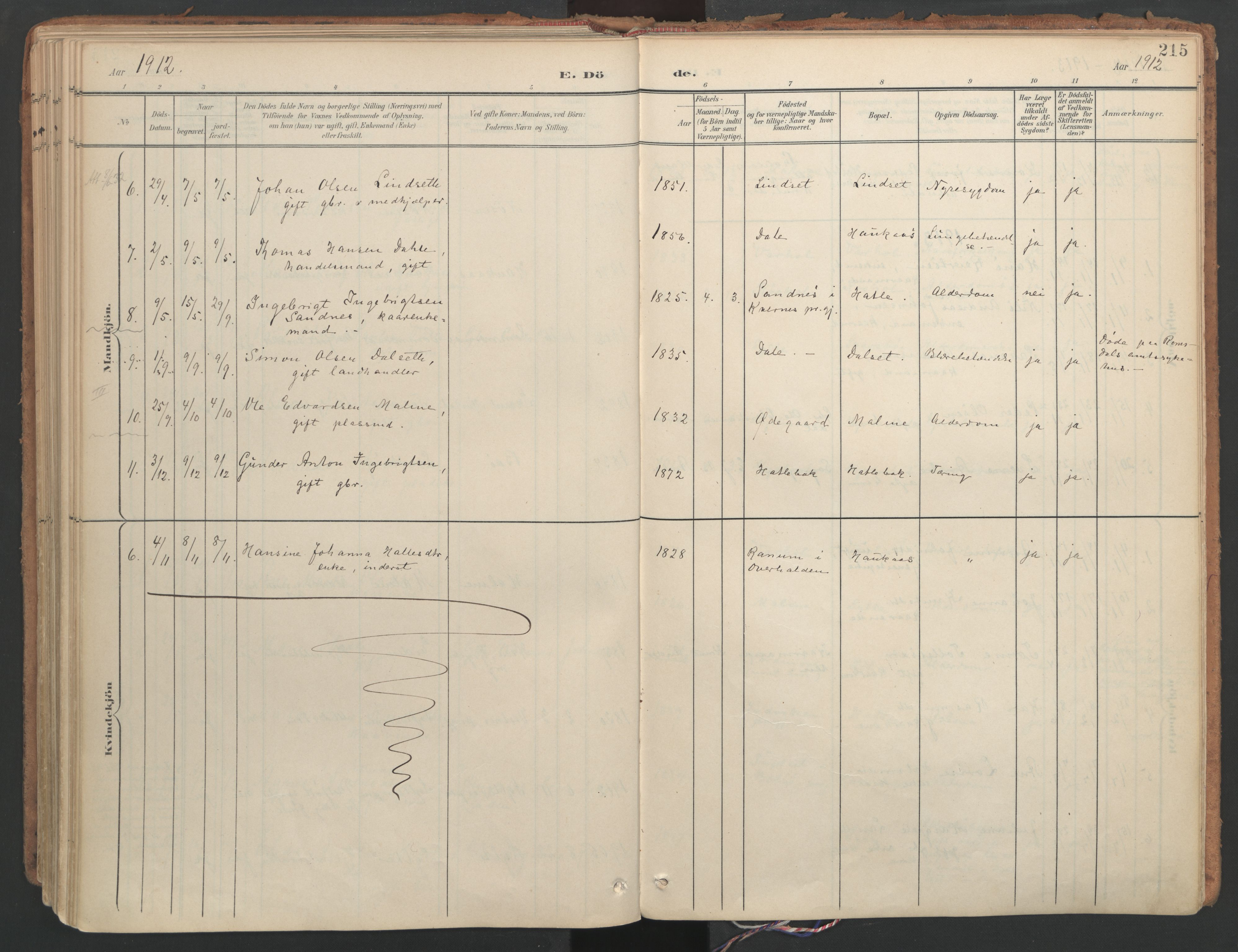 Ministerialprotokoller, klokkerbøker og fødselsregistre - Møre og Romsdal, SAT/A-1454/564/L0741: Ministerialbok nr. 564A02, 1900-1976, s. 215