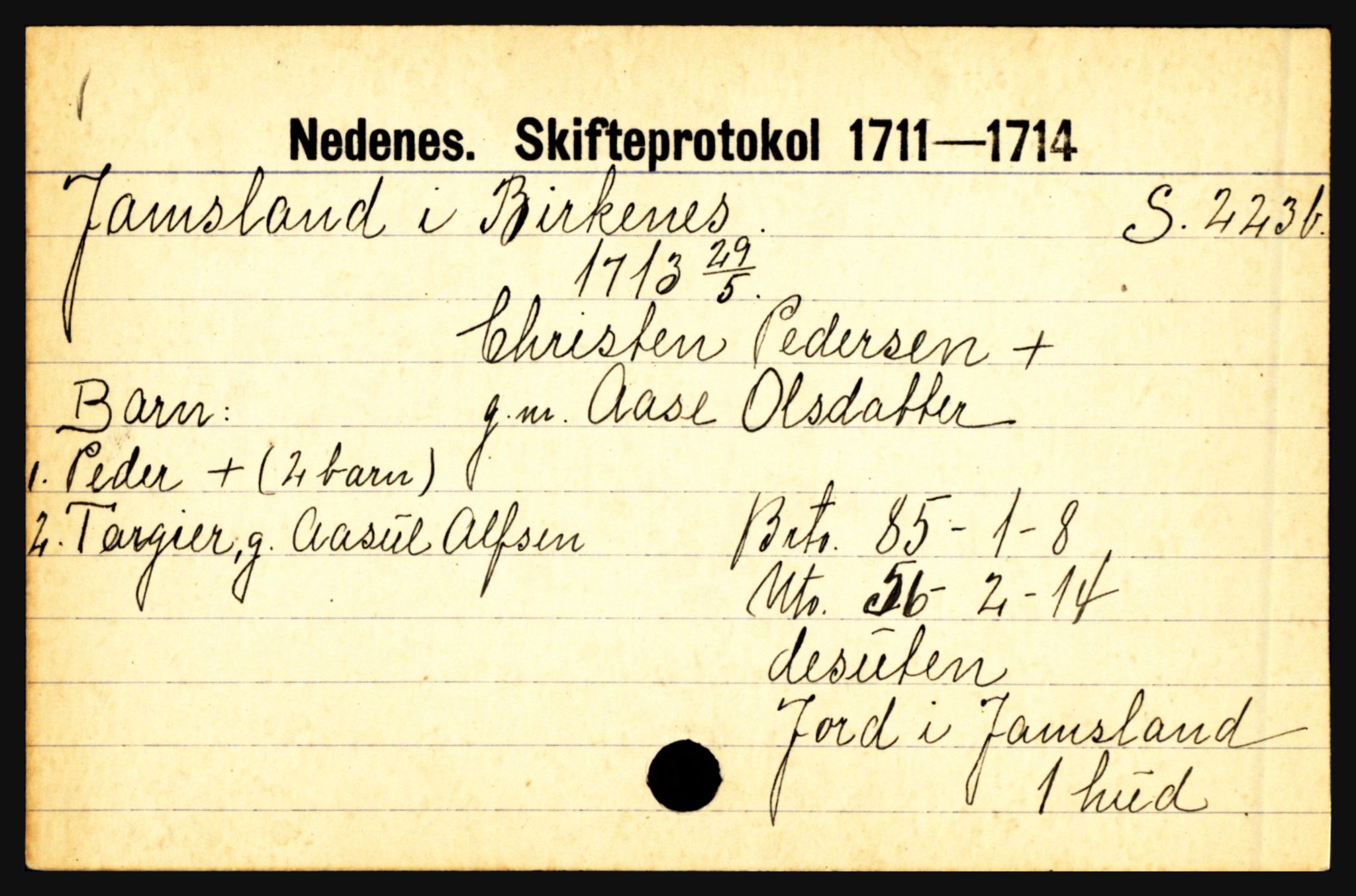 Nedenes sorenskriveri før 1824, AV/SAK-1221-0007/H, s. 14081