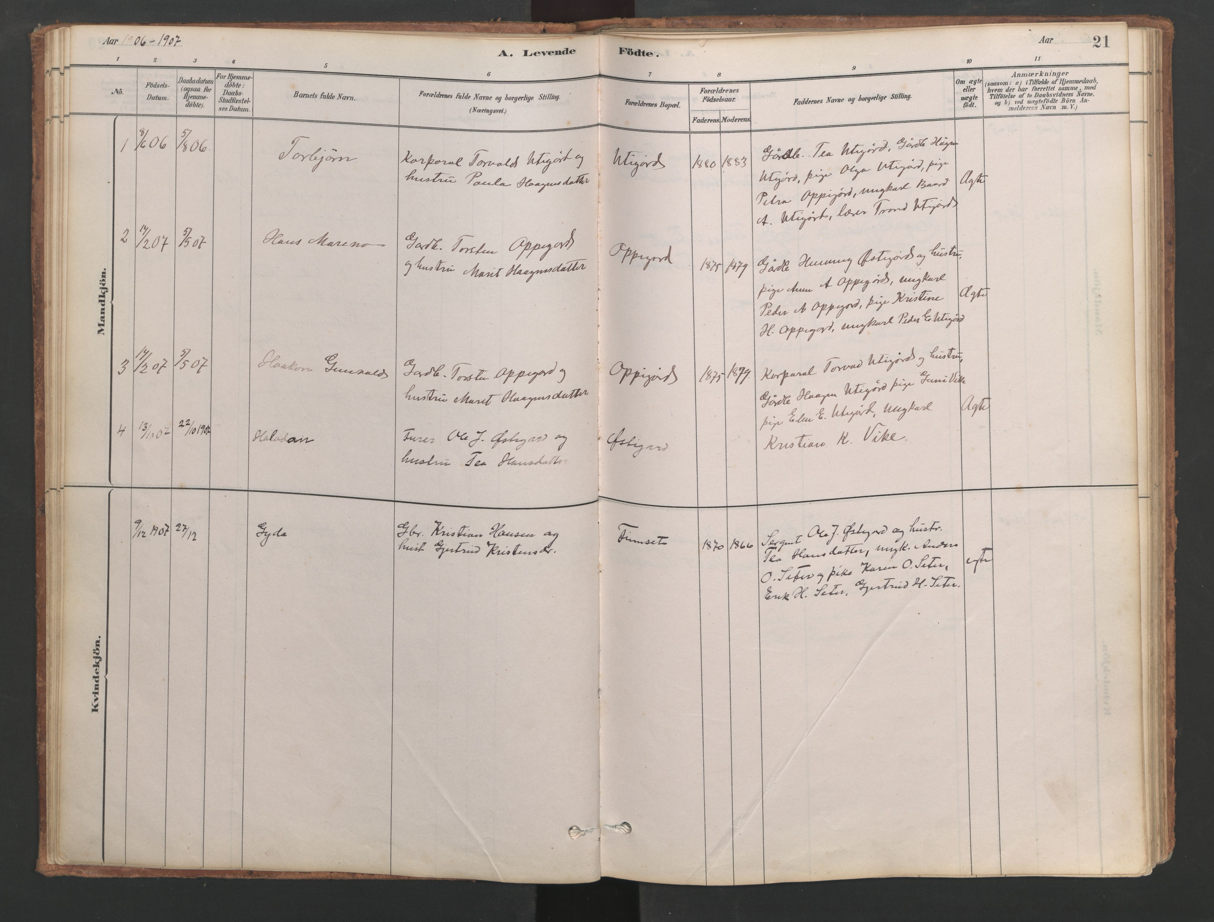 Ministerialprotokoller, klokkerbøker og fødselsregistre - Møre og Romsdal, SAT/A-1454/553/L0642: Klokkerbok nr. 553C01, 1880-1968, s. 21