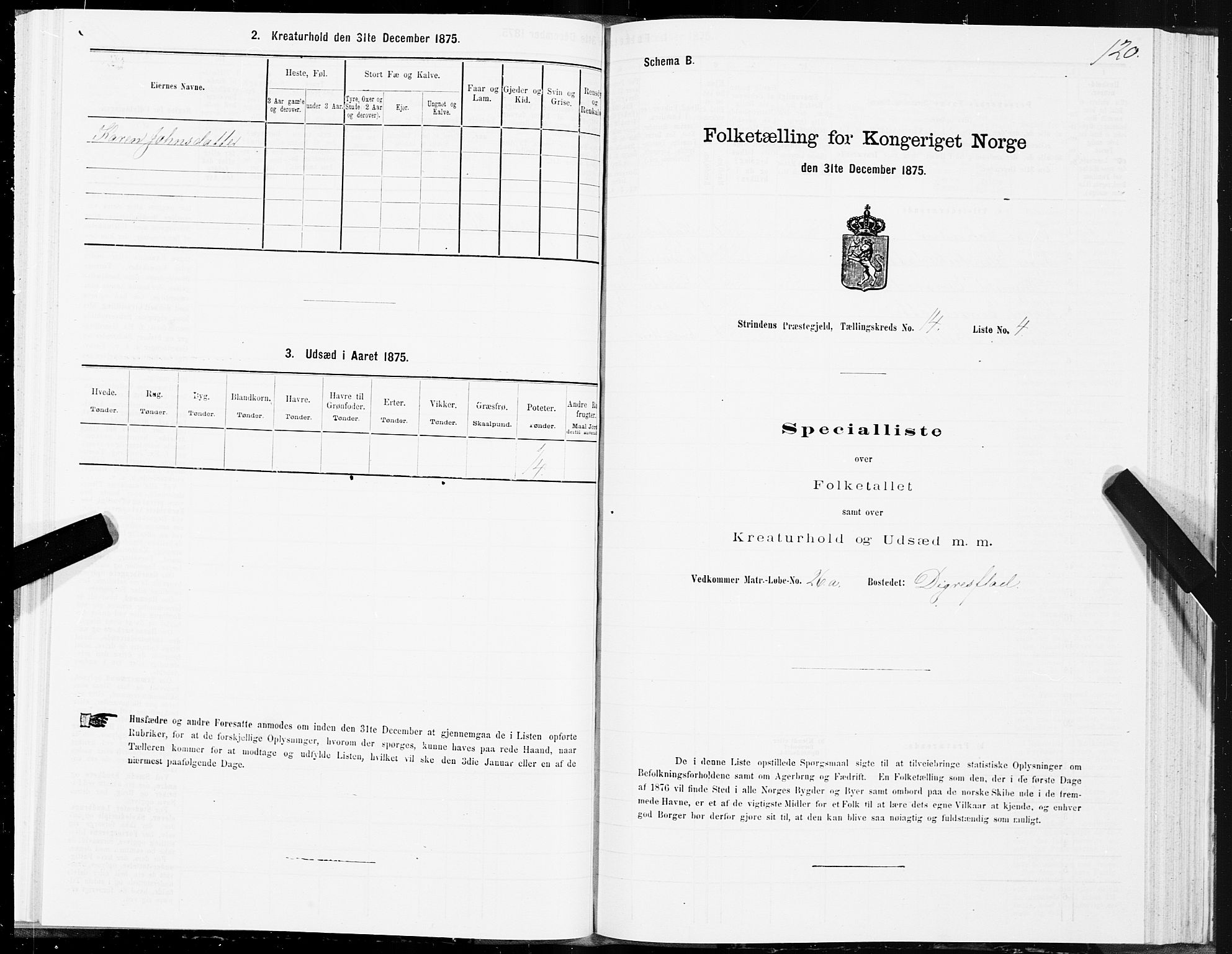 SAT, Folketelling 1875 for 1660P Strinda prestegjeld, 1875, s. 8120