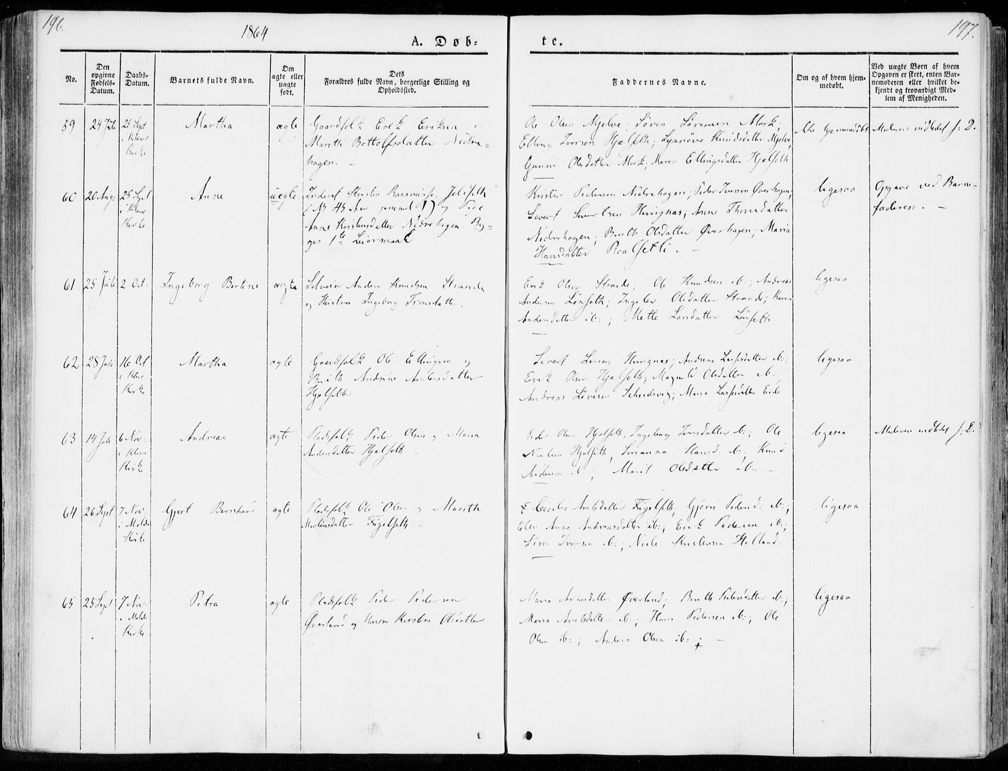 Ministerialprotokoller, klokkerbøker og fødselsregistre - Møre og Romsdal, AV/SAT-A-1454/555/L0653: Ministerialbok nr. 555A04, 1843-1869, s. 196-197