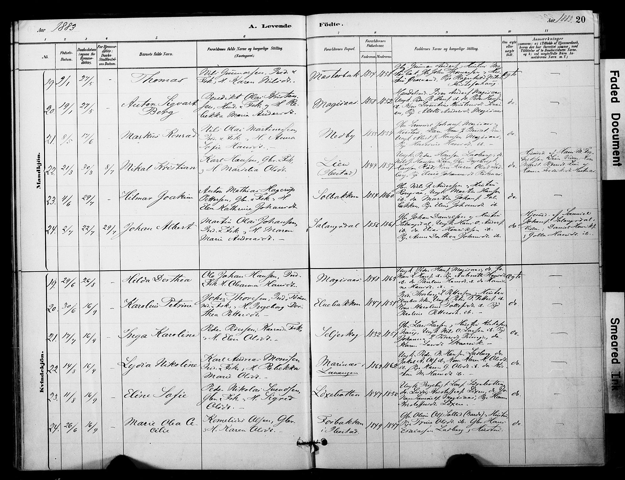 Ibestad sokneprestembete, AV/SATØ-S-0077/H/Ha/Haa/L0014kirke: Ministerialbok nr. 14, 1880-1887, s. 20