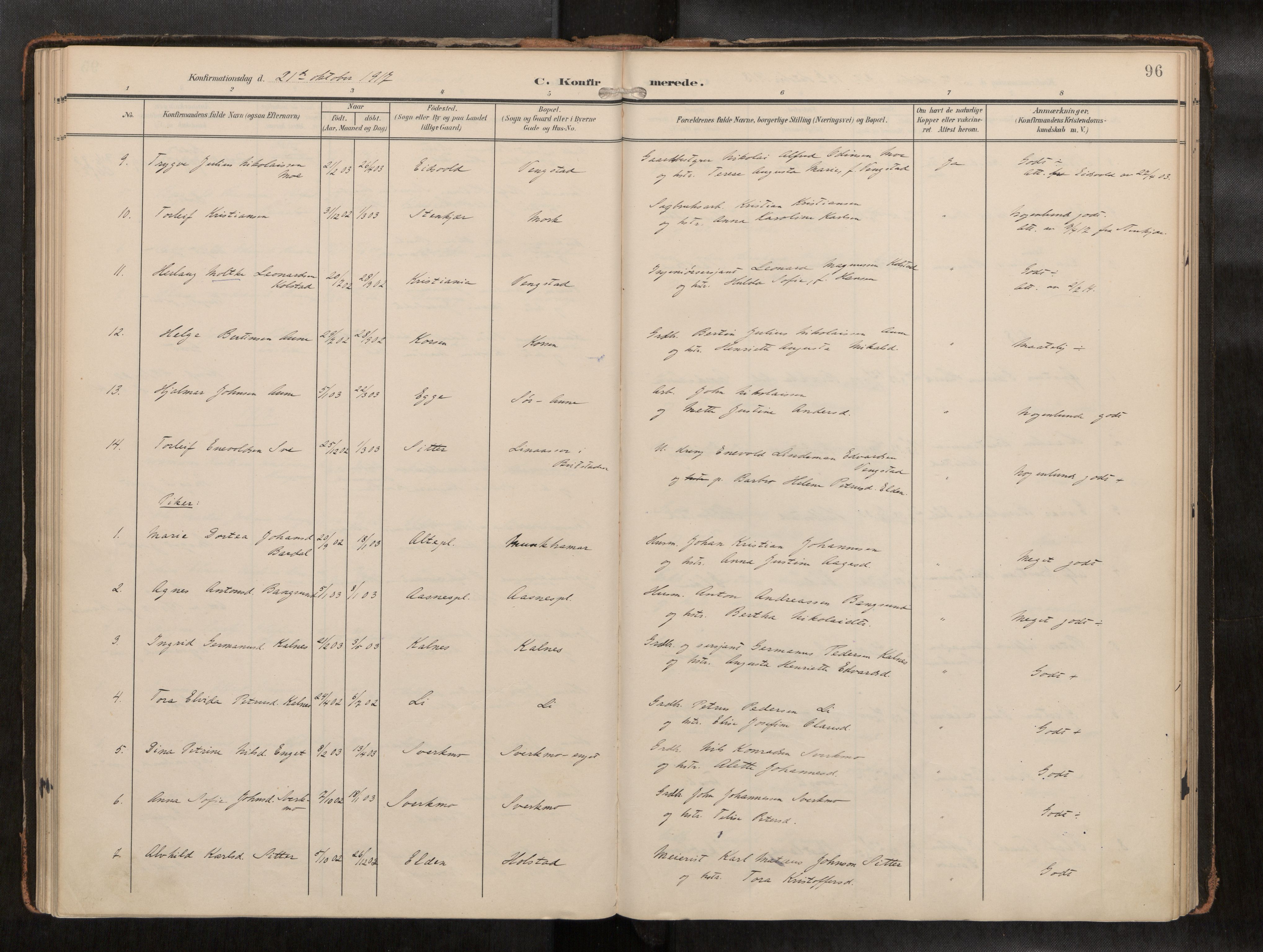 Ministerialprotokoller, klokkerbøker og fødselsregistre - Nord-Trøndelag, AV/SAT-A-1458/742/L0409a: Ministerialbok nr. 742A03, 1906-1924, s. 96