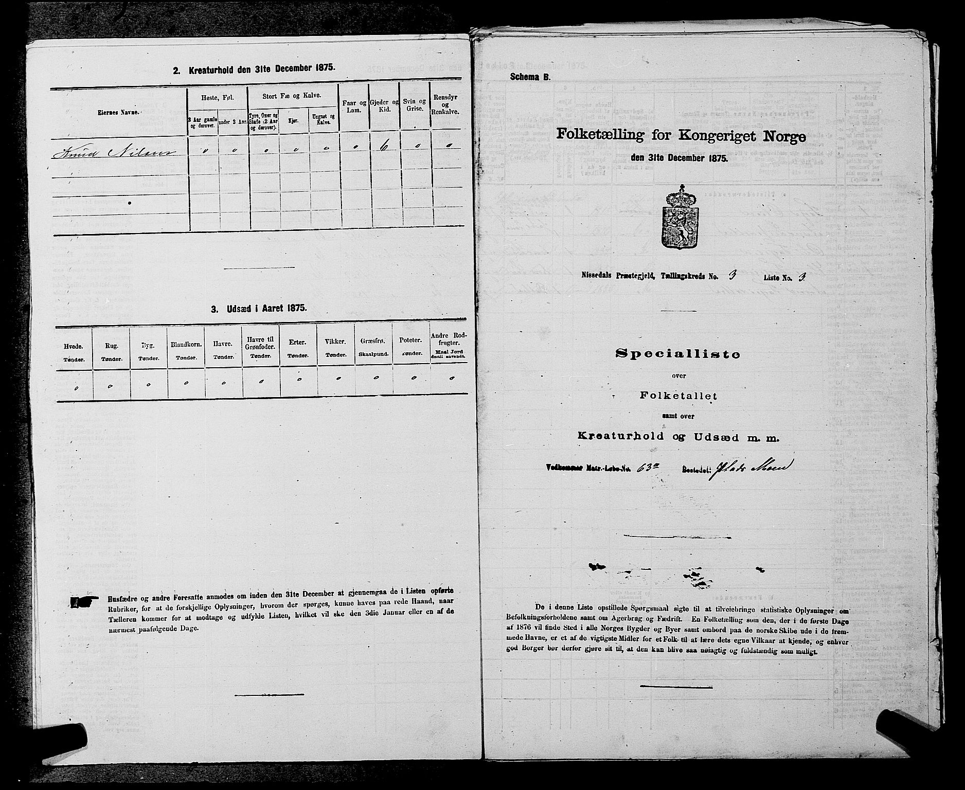 SAKO, Folketelling 1875 for 0830P Nissedal prestegjeld, 1875, s. 236