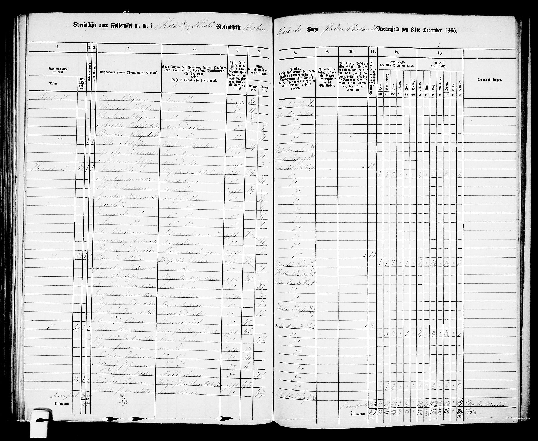 RA, Folketelling 1865 for 0918P Austre Moland prestegjeld, 1865, s. 300