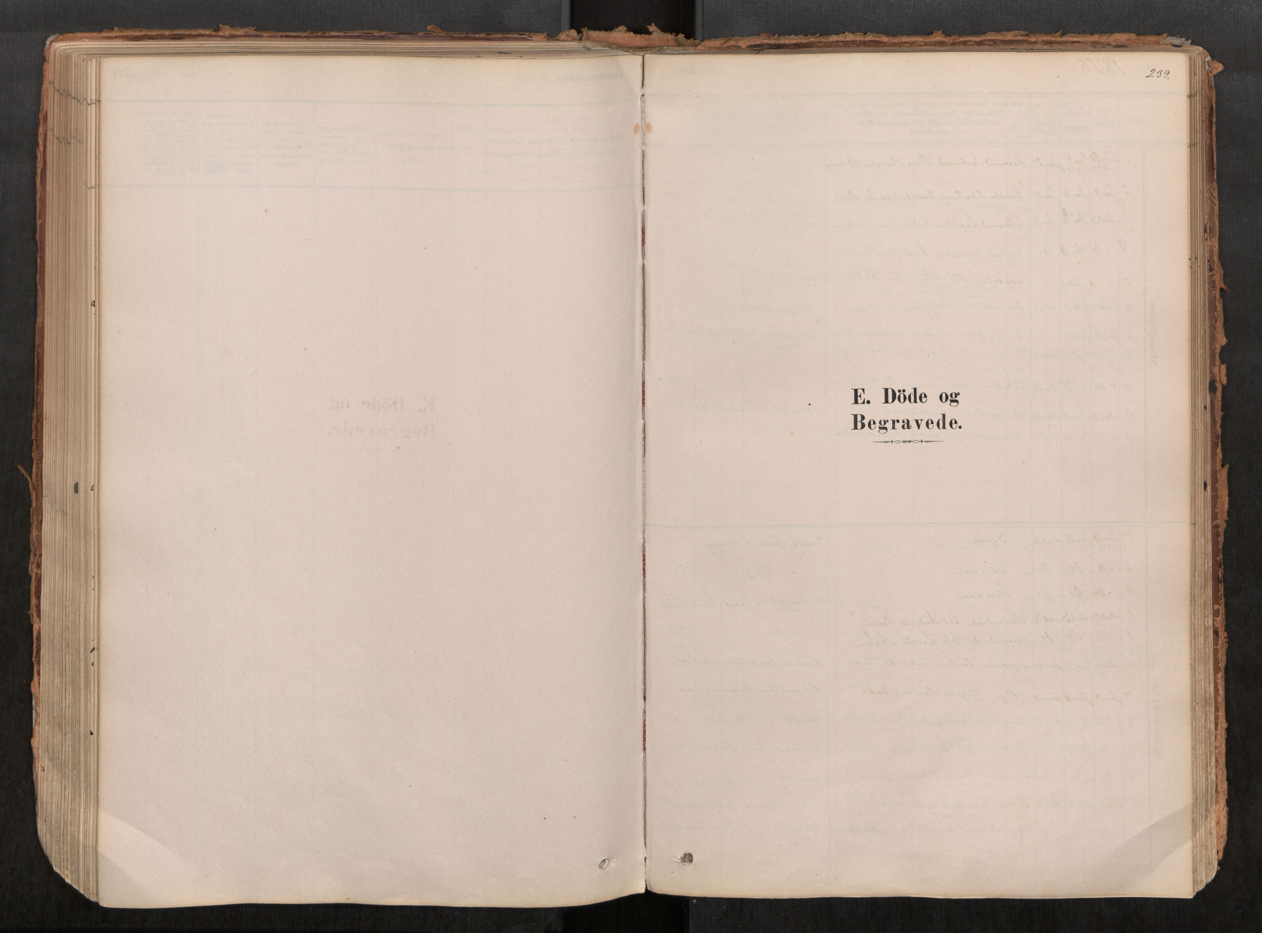 Ministerialprotokoller, klokkerbøker og fødselsregistre - Møre og Romsdal, SAT/A-1454/545/L0594: Ministerialbok nr. 545A03, 1878-1920, s. 239