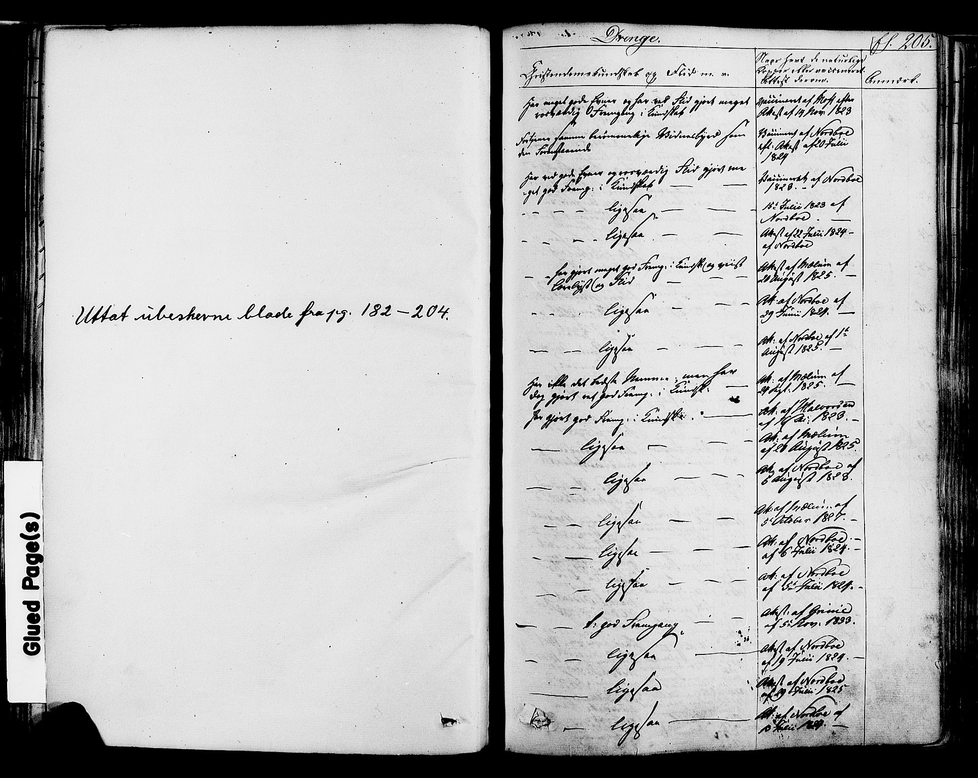 Ringsaker prestekontor, SAH/PREST-014/K/Ka/L0008: Ministerialbok nr. 8, 1837-1850, s. 205