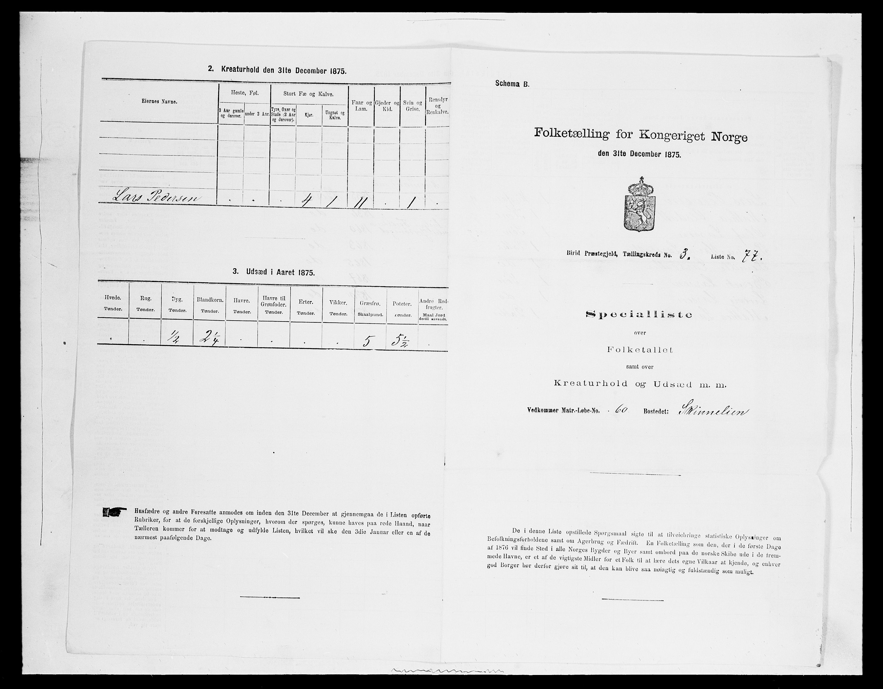 SAH, Folketelling 1875 for 0525P Biri prestegjeld, 1875, s. 717