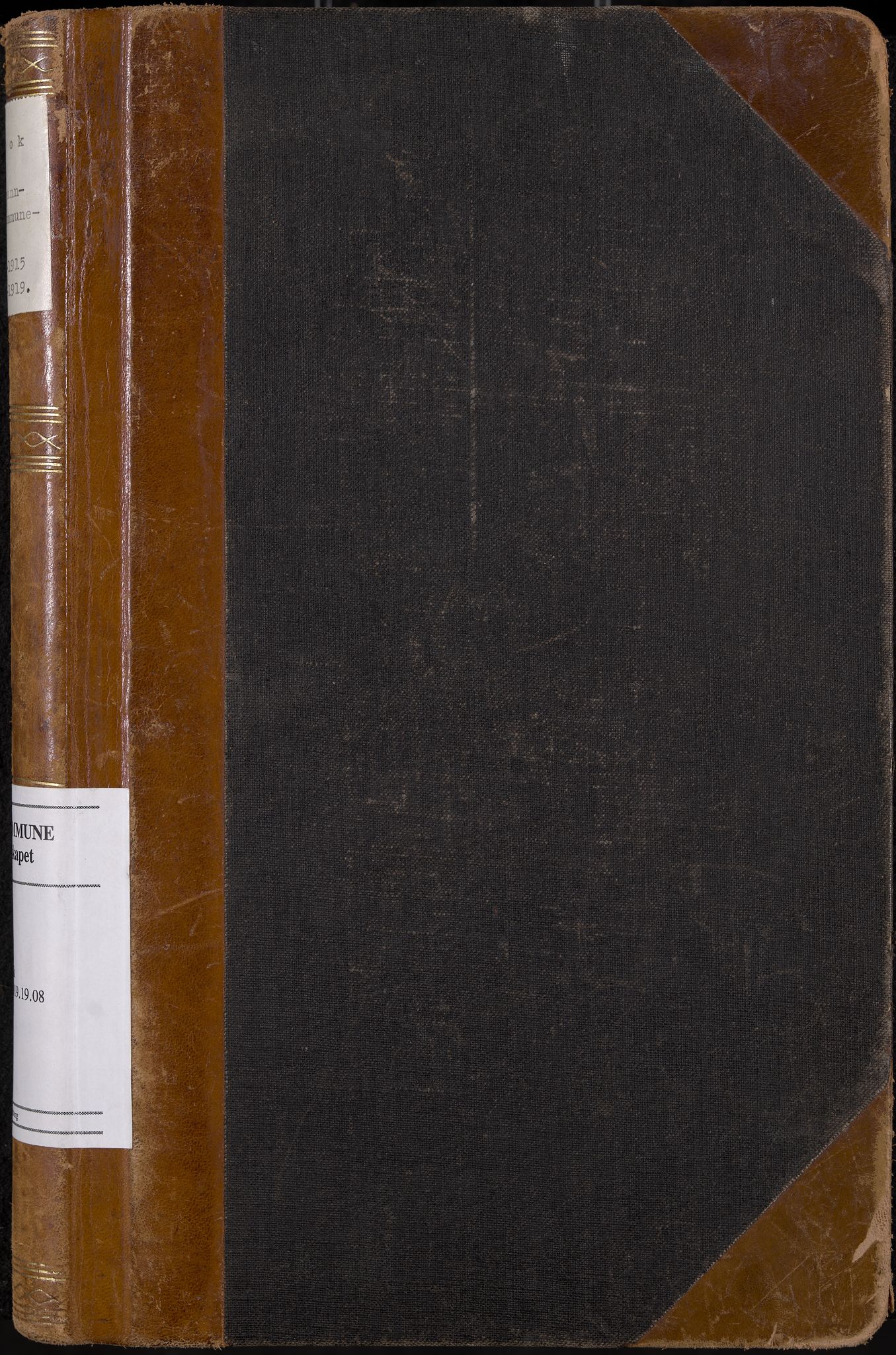 Uvdal formannskap og sentraladministrasjon, IKAK/0634021/A/Aa/L0003: Møtebok, 1915-1919