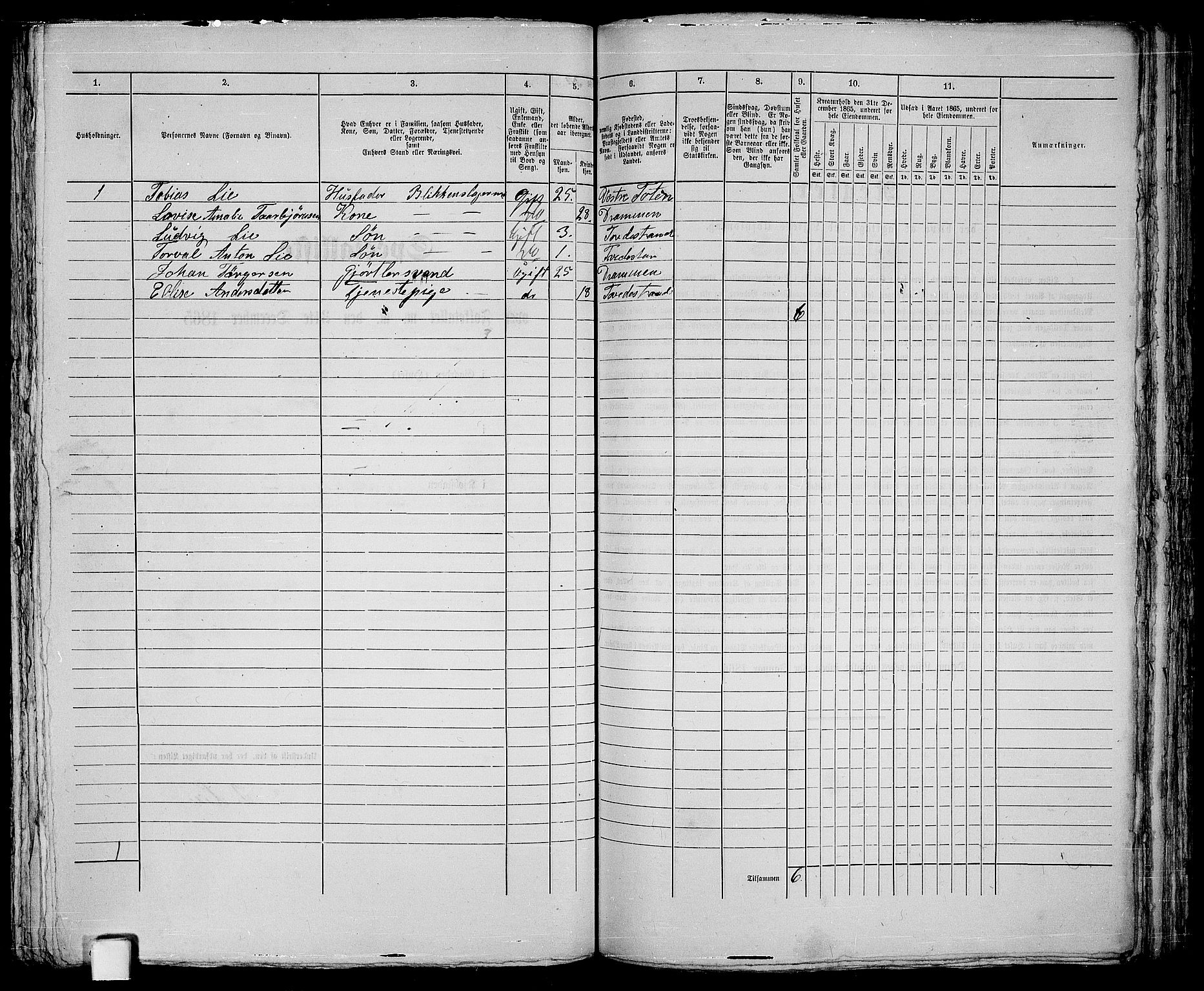 RA, Folketelling 1865 for 0902B Holt prestegjeld, Tvedestrand ladested, 1865, s. 222