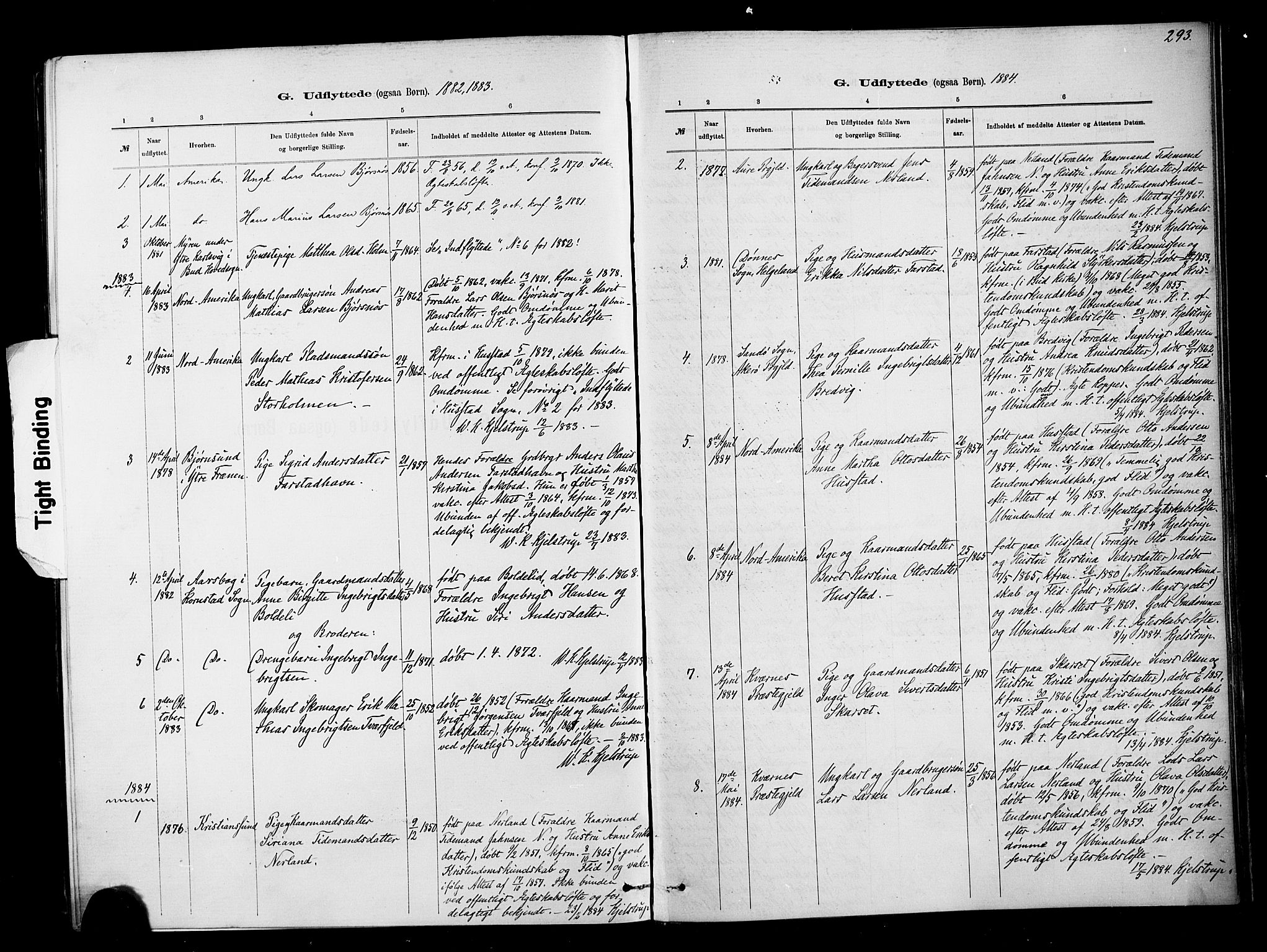 Ministerialprotokoller, klokkerbøker og fødselsregistre - Møre og Romsdal, SAT/A-1454/567/L0778: Ministerialbok nr. 567A01, 1881-1903, s. 293