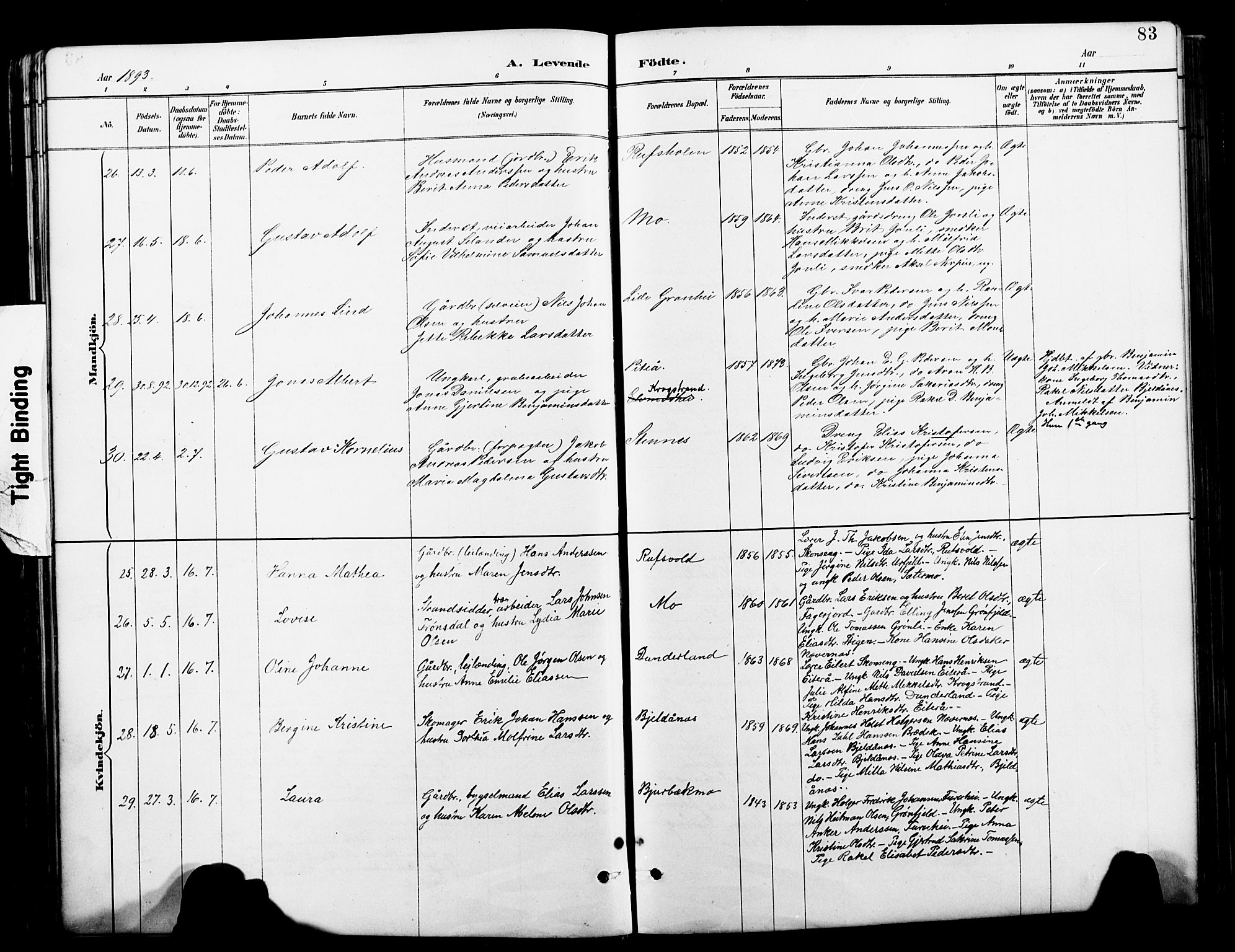 Ministerialprotokoller, klokkerbøker og fødselsregistre - Nordland, AV/SAT-A-1459/827/L0421: Klokkerbok nr. 827C10, 1887-1906, s. 83