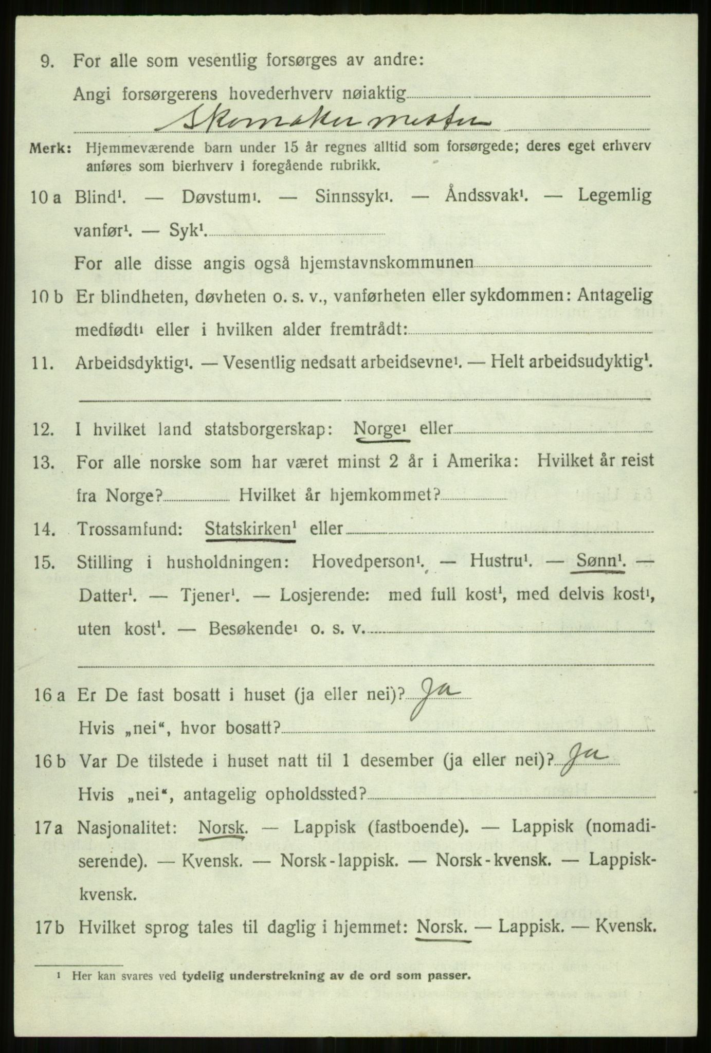 SATØ, Folketelling 1920 for 1921 Salangen herred, 1920, s. 4203