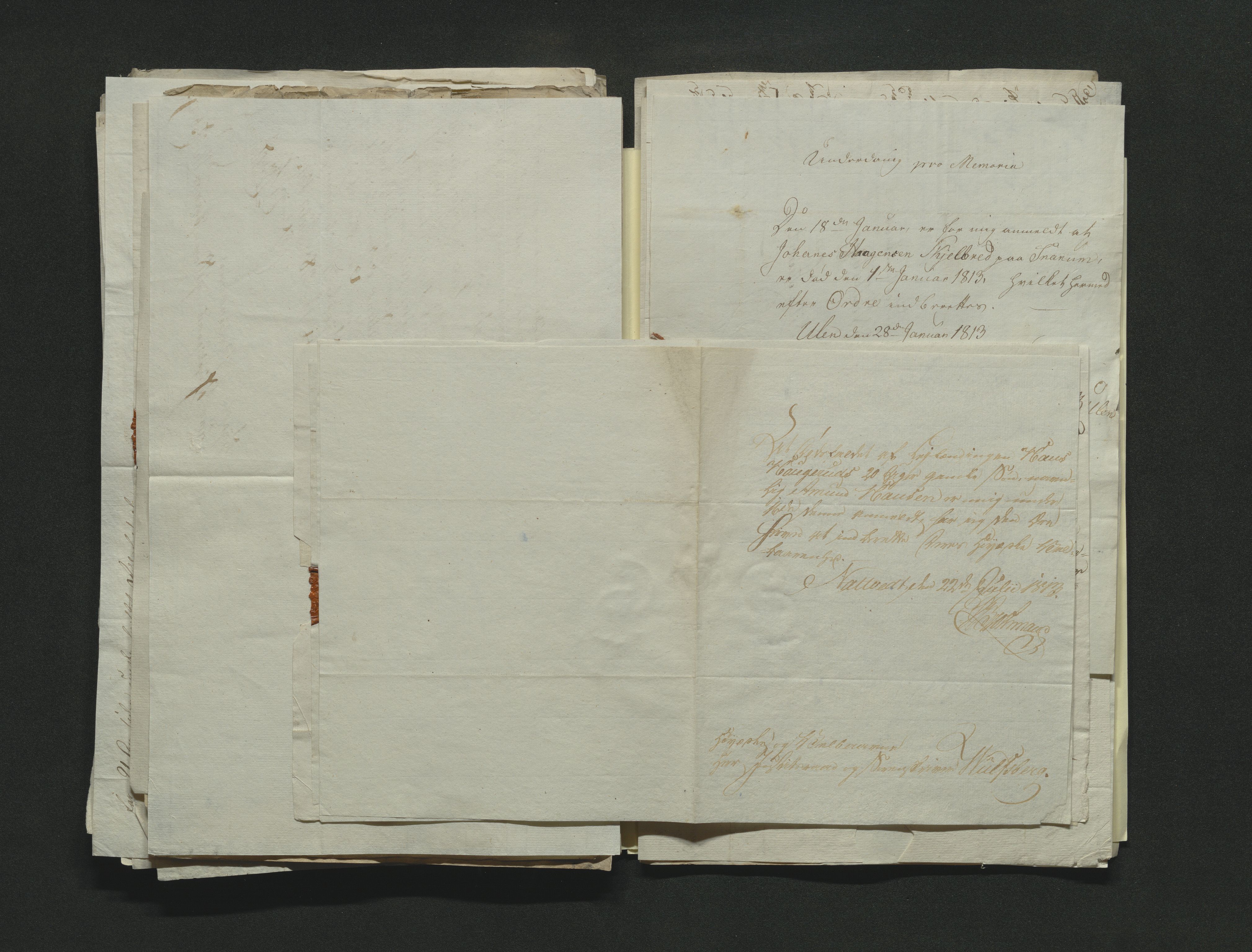 Eiker, Modum og Sigdal sorenskriveri, AV/SAKO-A-123/H/Ha/Hab/L0001: Dødsfallsmeldinger, 1812-1822, s. 96
