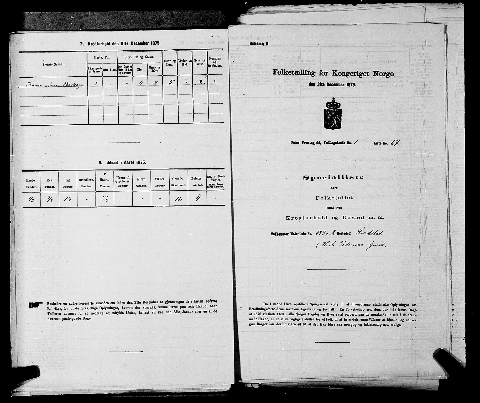 SAKO, Folketelling 1875 for 0721P Sem prestegjeld, 1875, s. 213