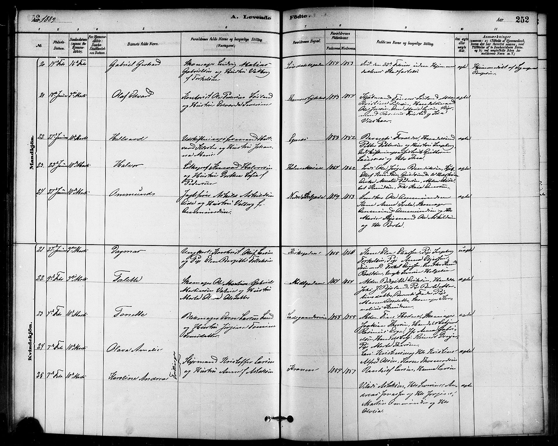 Domkirken sokneprestkontor, AV/SAST-A-101812/001/30/30BB/L0015: Klokkerbok nr. B 15, 1880-1891, s. 252