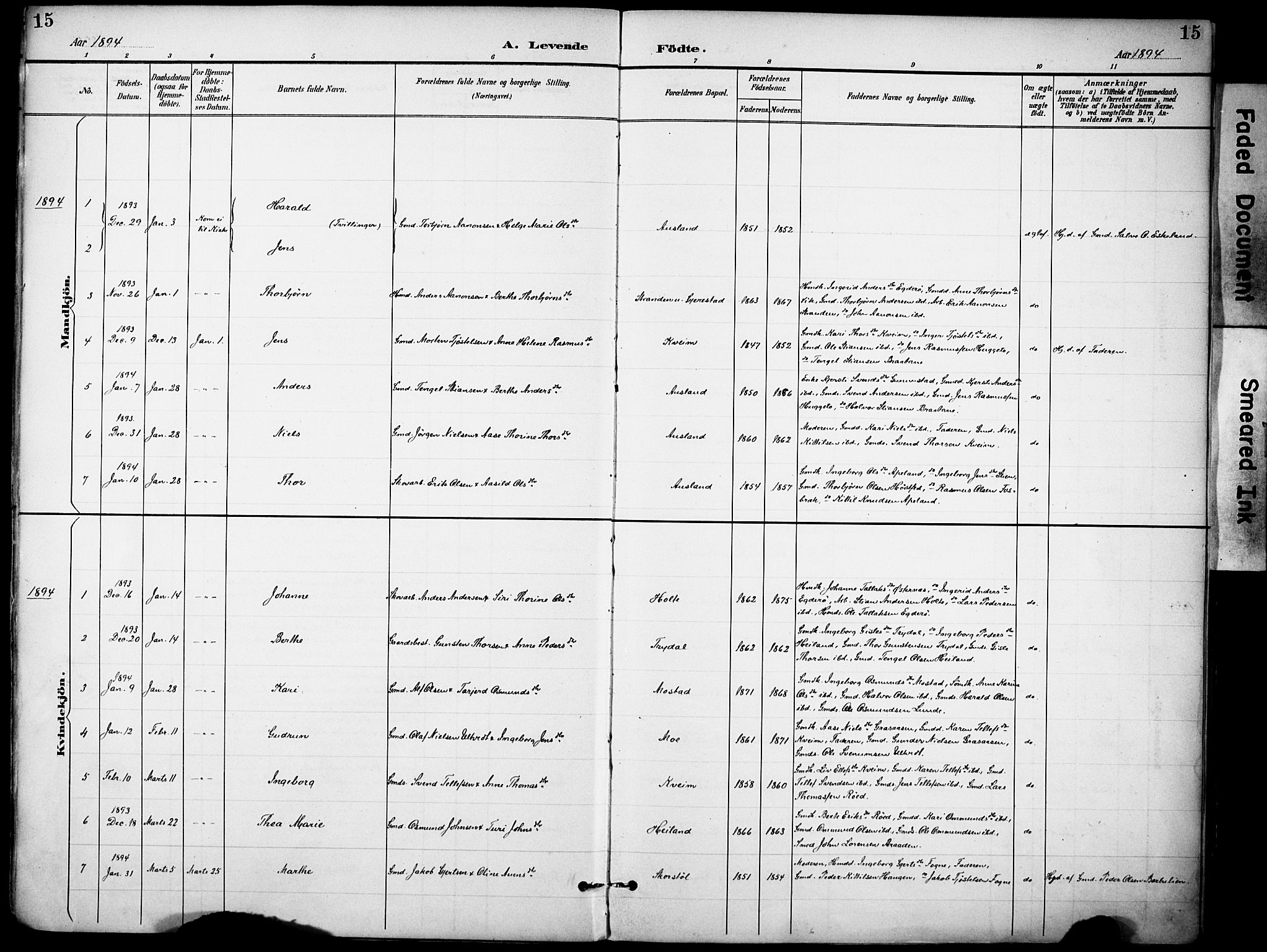 Gjerstad sokneprestkontor, SAK/1111-0014/F/Fa/Faa/L0010: Ministerialbok nr. A 10, 1891-1902, s. 15