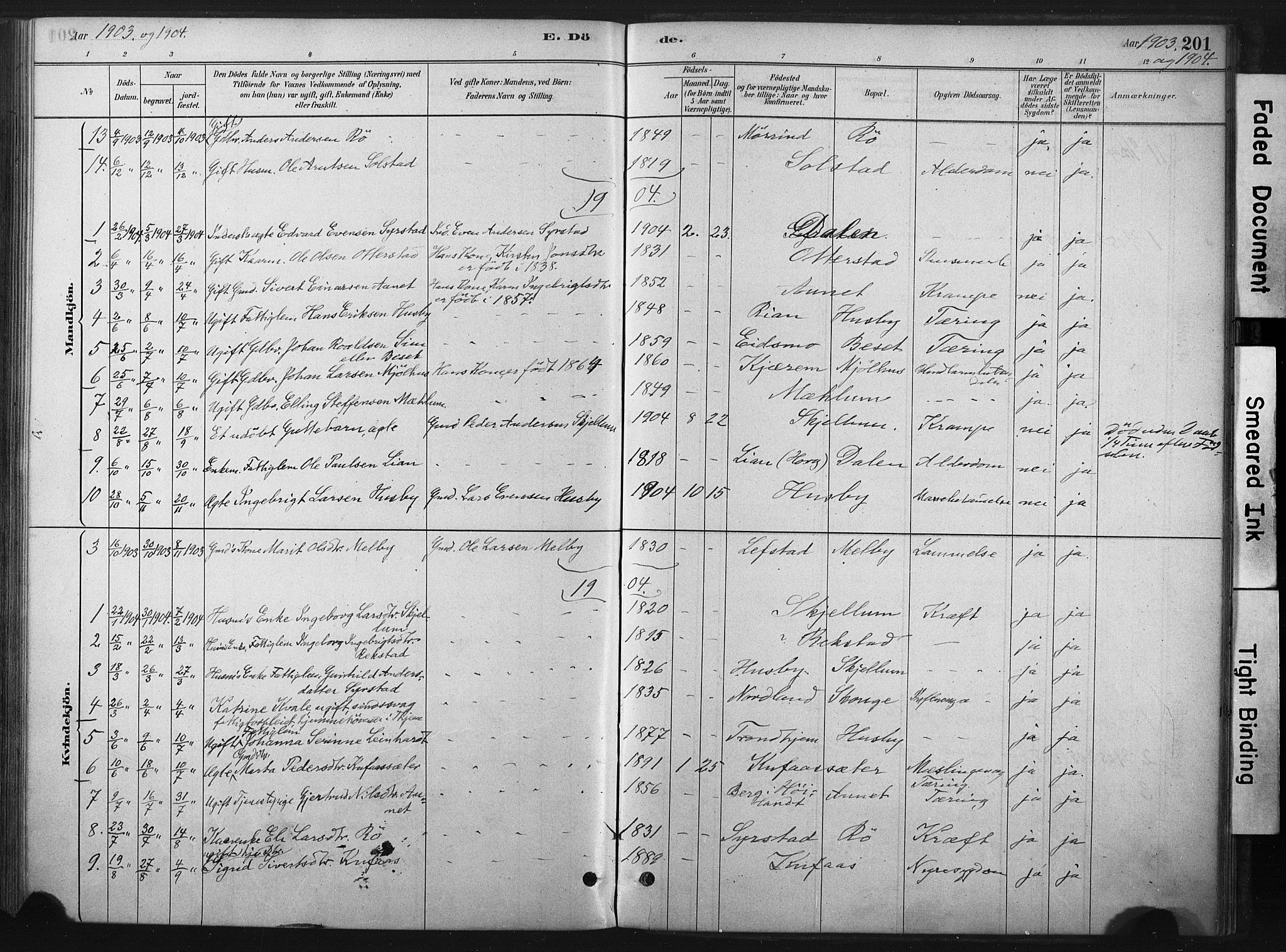 Ministerialprotokoller, klokkerbøker og fødselsregistre - Sør-Trøndelag, SAT/A-1456/667/L0795: Ministerialbok nr. 667A03, 1879-1907, s. 201
