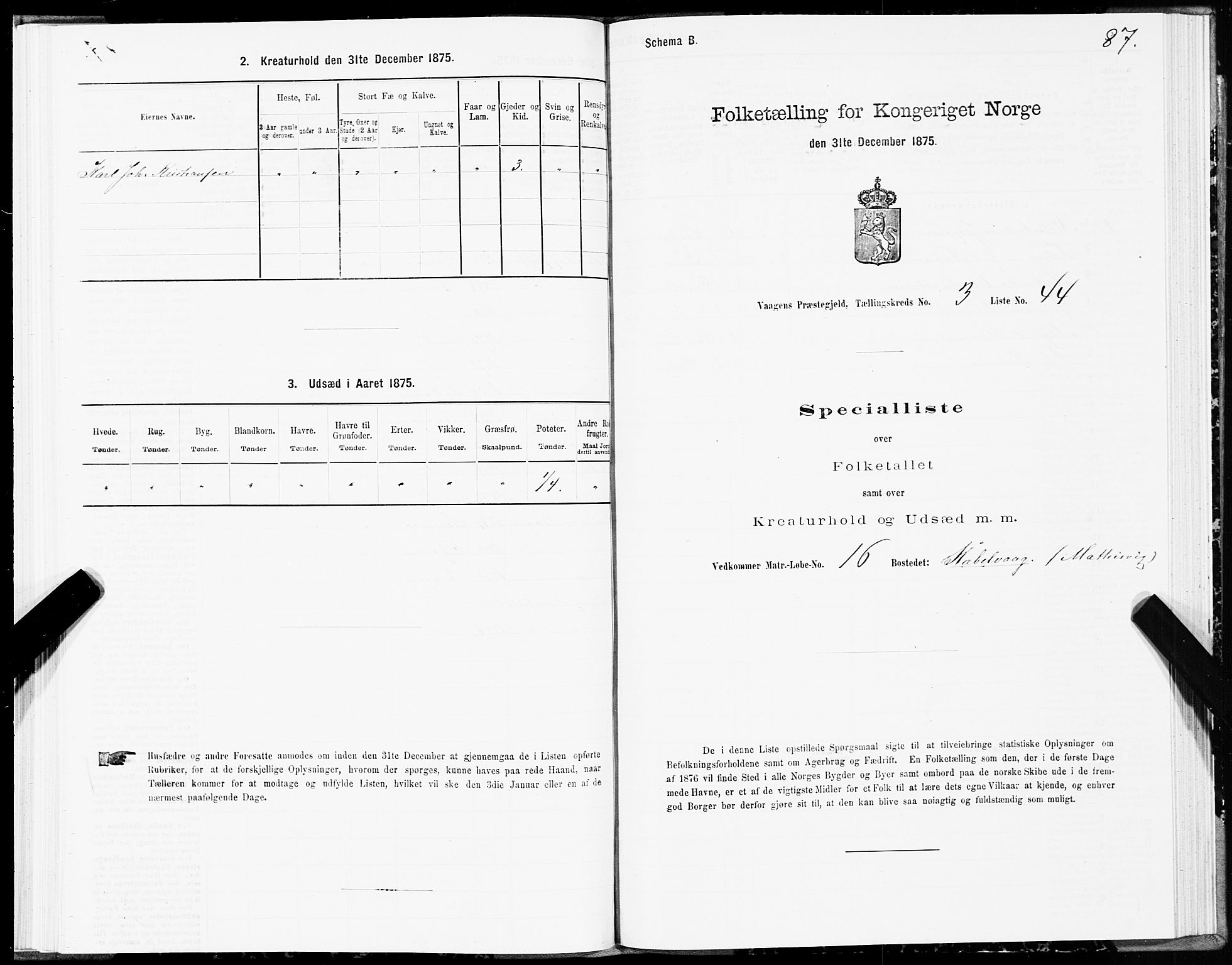 SAT, Folketelling 1875 for 1865P Vågan prestegjeld, 1875, s. 2087