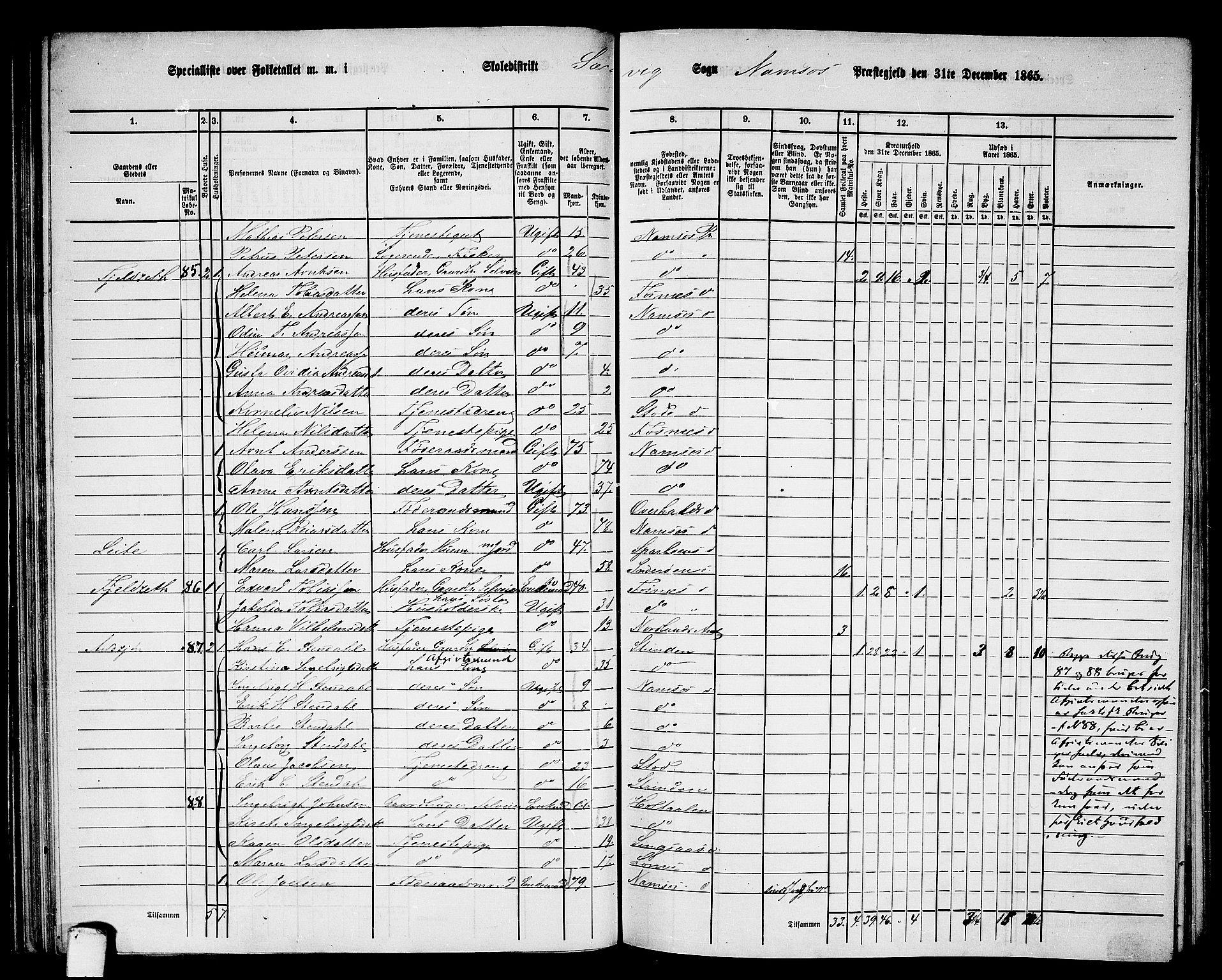 RA, Folketelling 1865 for 1745L Namsos prestegjeld, Vemundvik sokn og Sævik sokn, 1865, s. 62