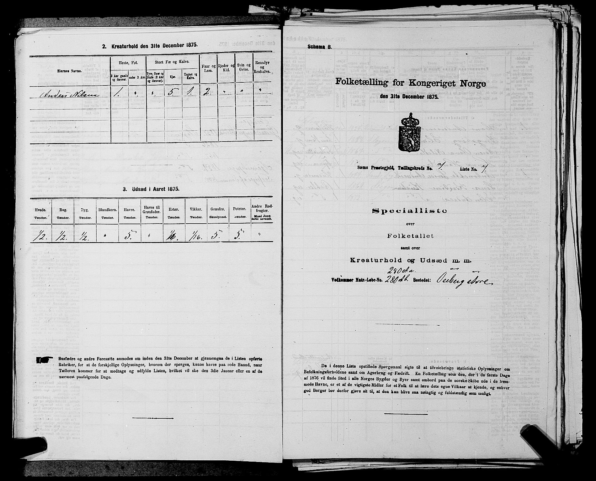 SAKO, Folketelling 1875 for 0721P Sem prestegjeld, 1875, s. 1145