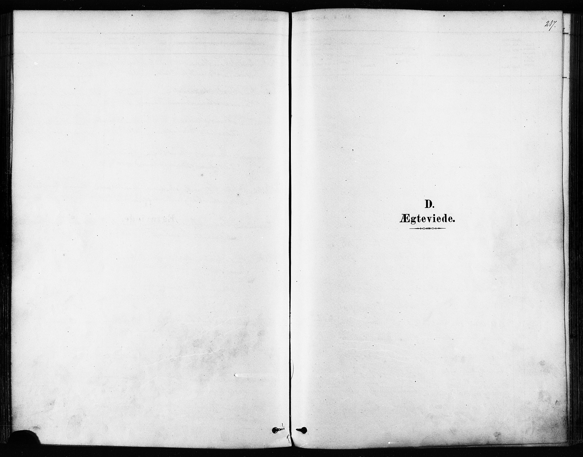 Kvæfjord sokneprestkontor, SATØ/S-1323/G/Ga/Gaa/L0005kirke: Ministerialbok nr. 5, 1878-1894, s. 217
