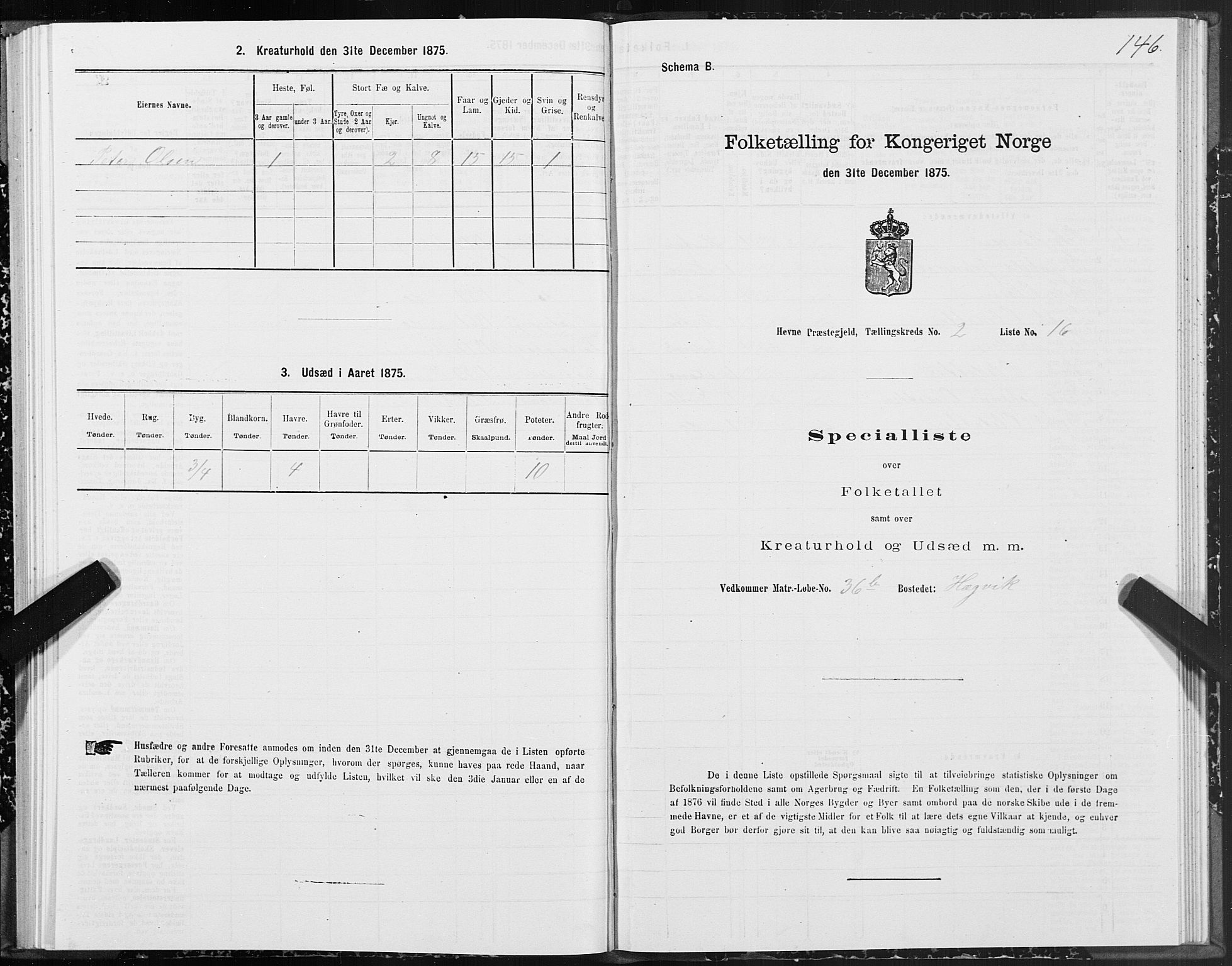 SAT, Folketelling 1875 for 1612P Hemne prestegjeld, 1875, s. 1146