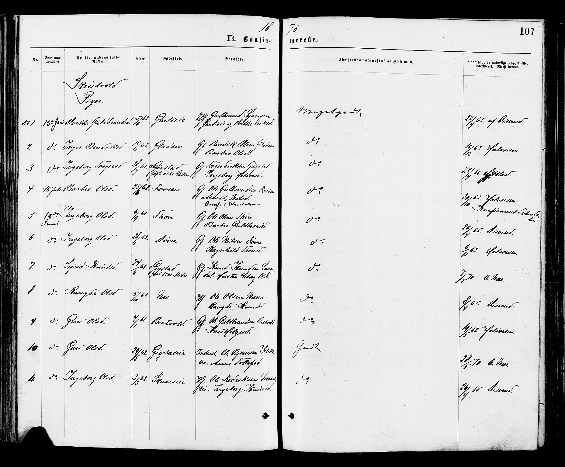 Nord-Aurdal prestekontor, AV/SAH-PREST-132/H/Ha/Haa/L0009: Ministerialbok nr. 9, 1876-1882, s. 107