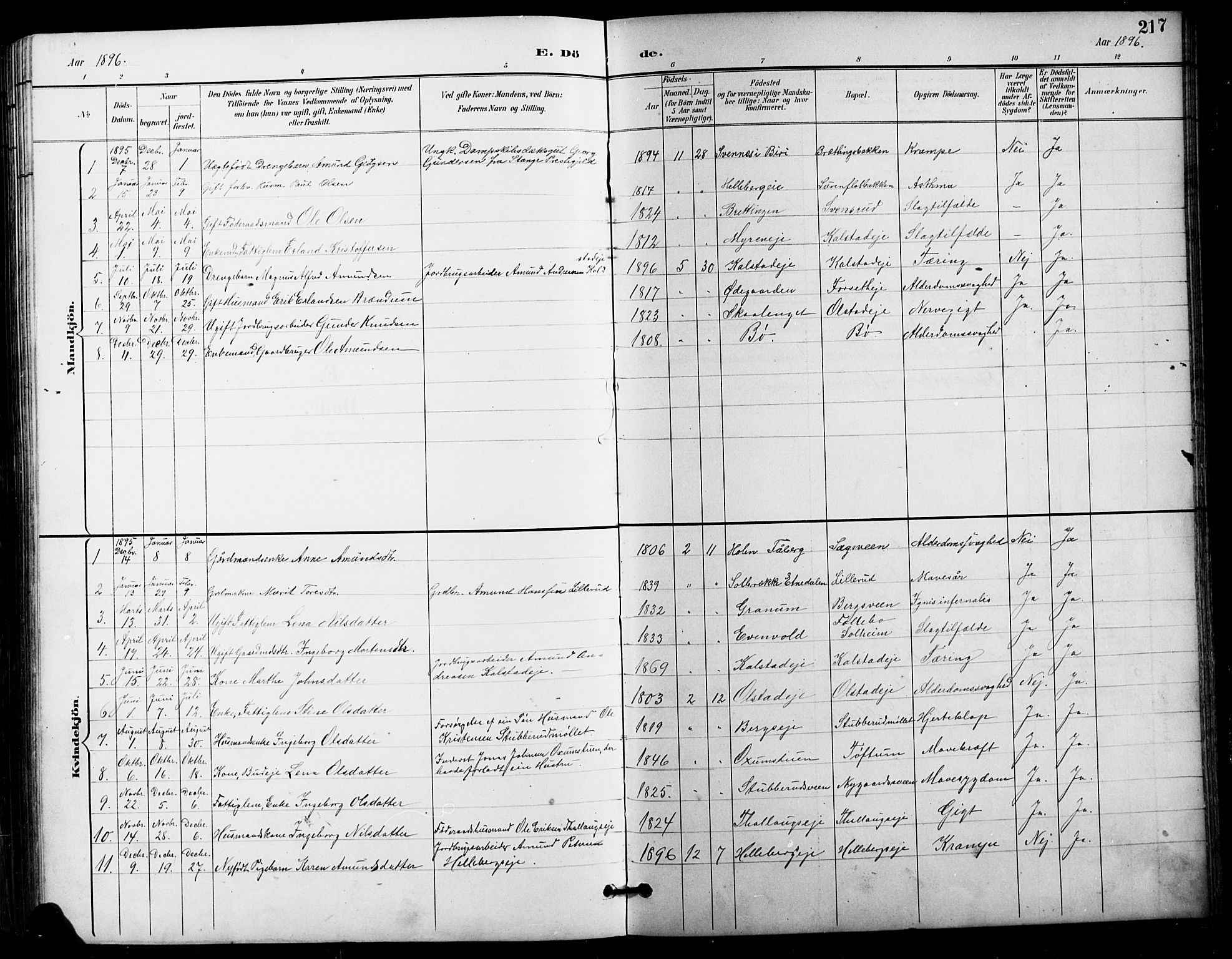 Vestre Gausdal prestekontor, AV/SAH-PREST-094/H/Ha/Hab/L0003: Klokkerbok nr. 3, 1896-1925, s. 217