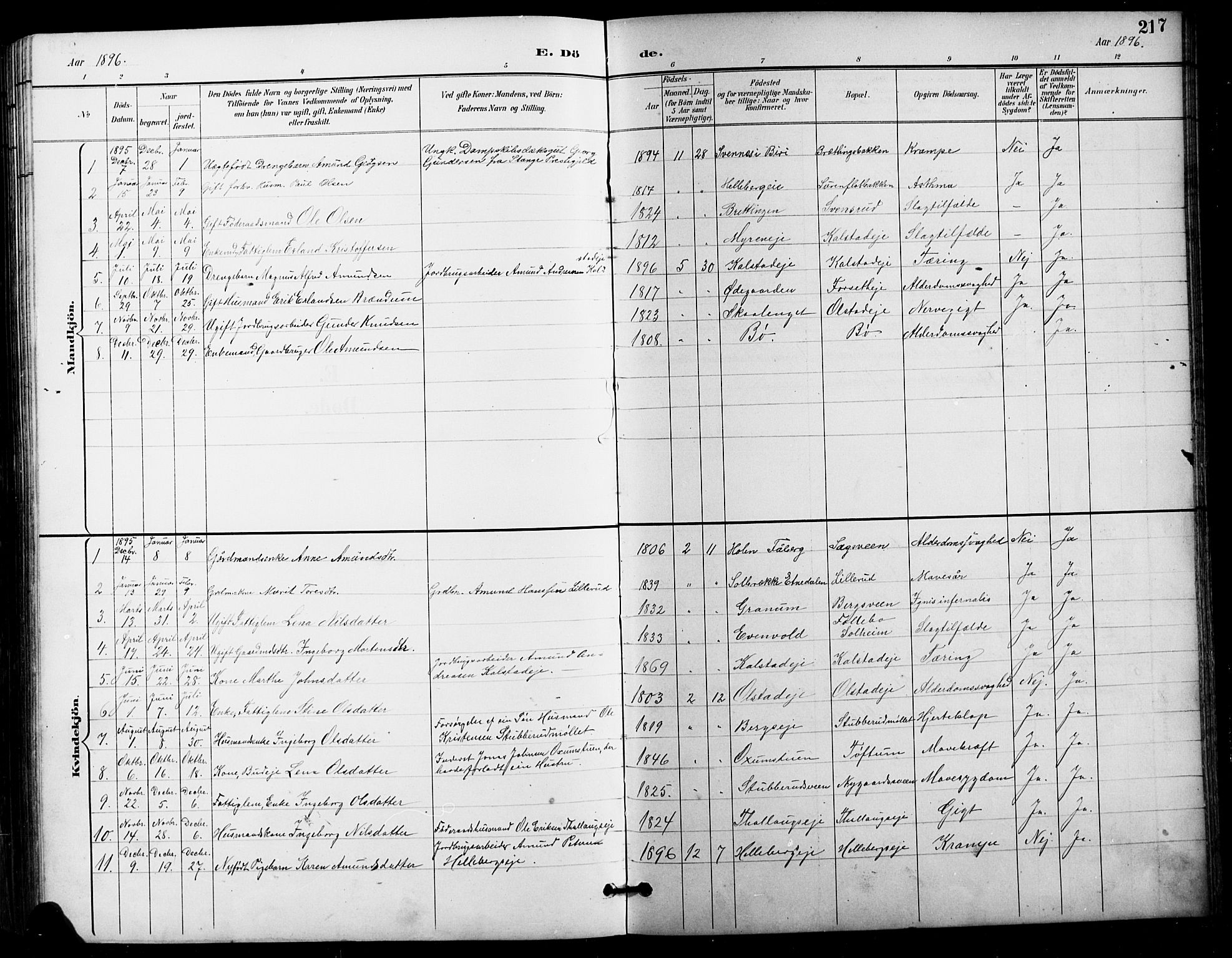 Vestre Gausdal prestekontor, SAH/PREST-094/H/Ha/Hab/L0003: Klokkerbok nr. 3, 1896-1925, s. 217