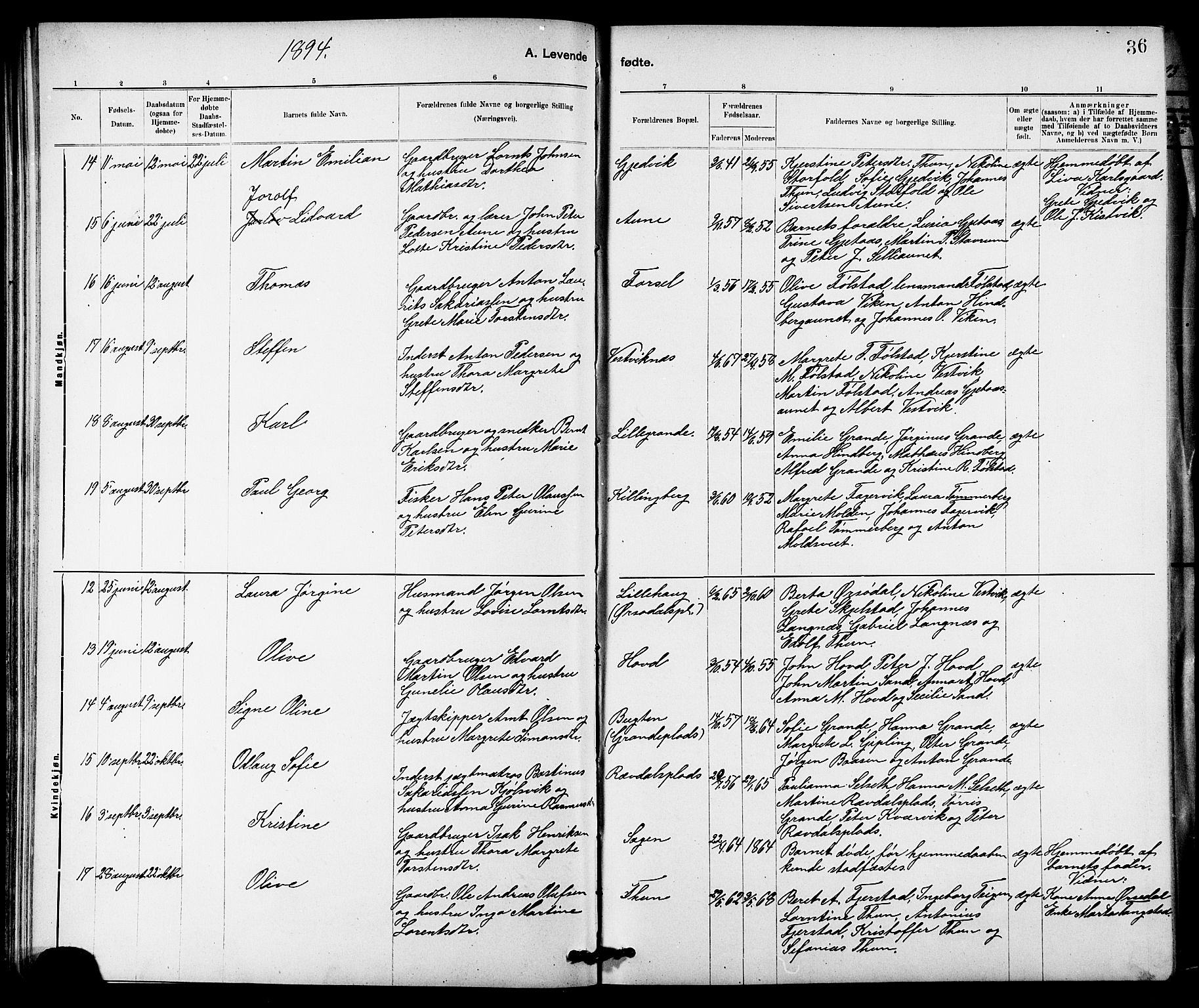 Ministerialprotokoller, klokkerbøker og fødselsregistre - Nord-Trøndelag, SAT/A-1458/744/L0423: Klokkerbok nr. 744C02, 1886-1905, s. 36