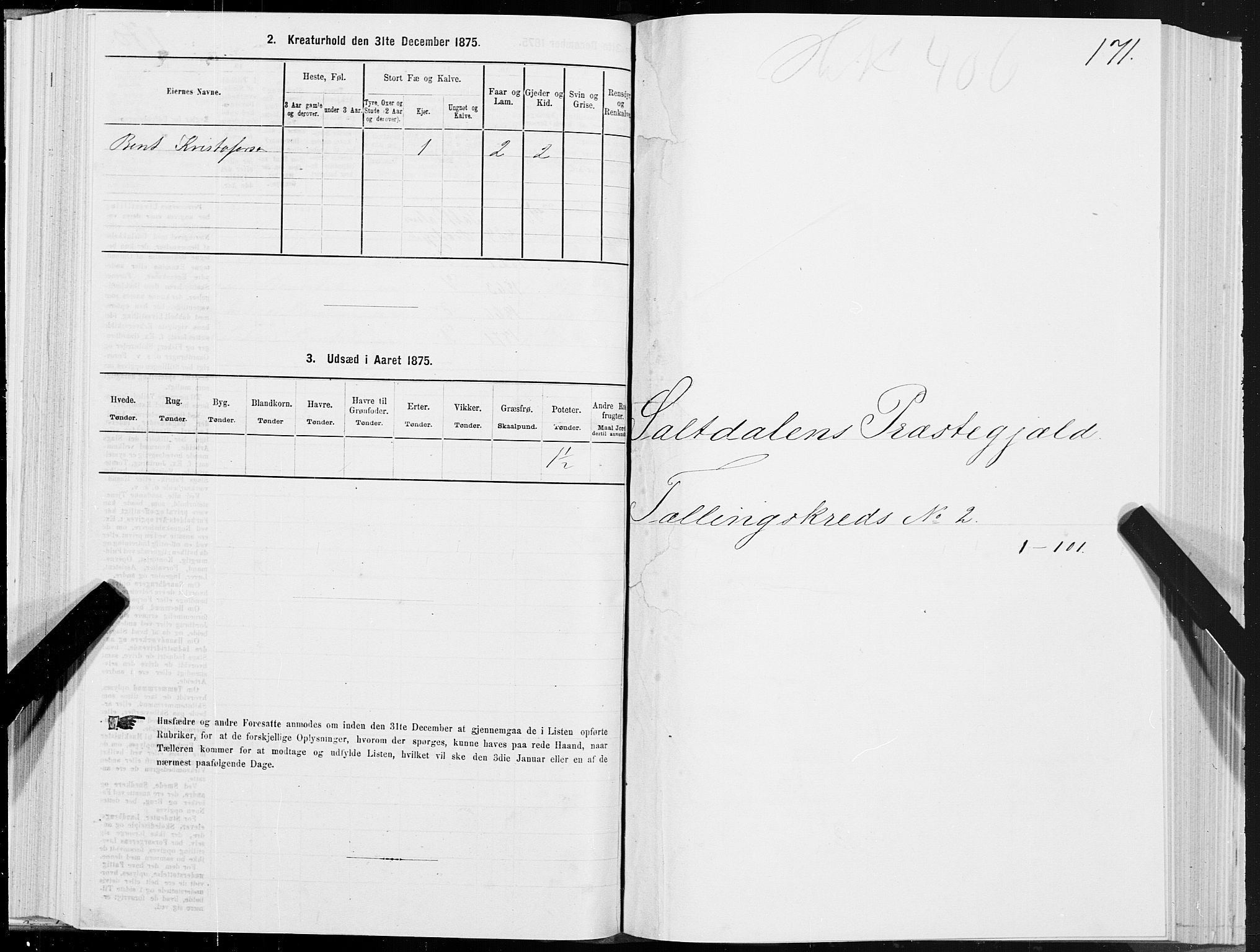 SAT, Folketelling 1875 for 1840P Saltdal prestegjeld, 1875, s. 1171