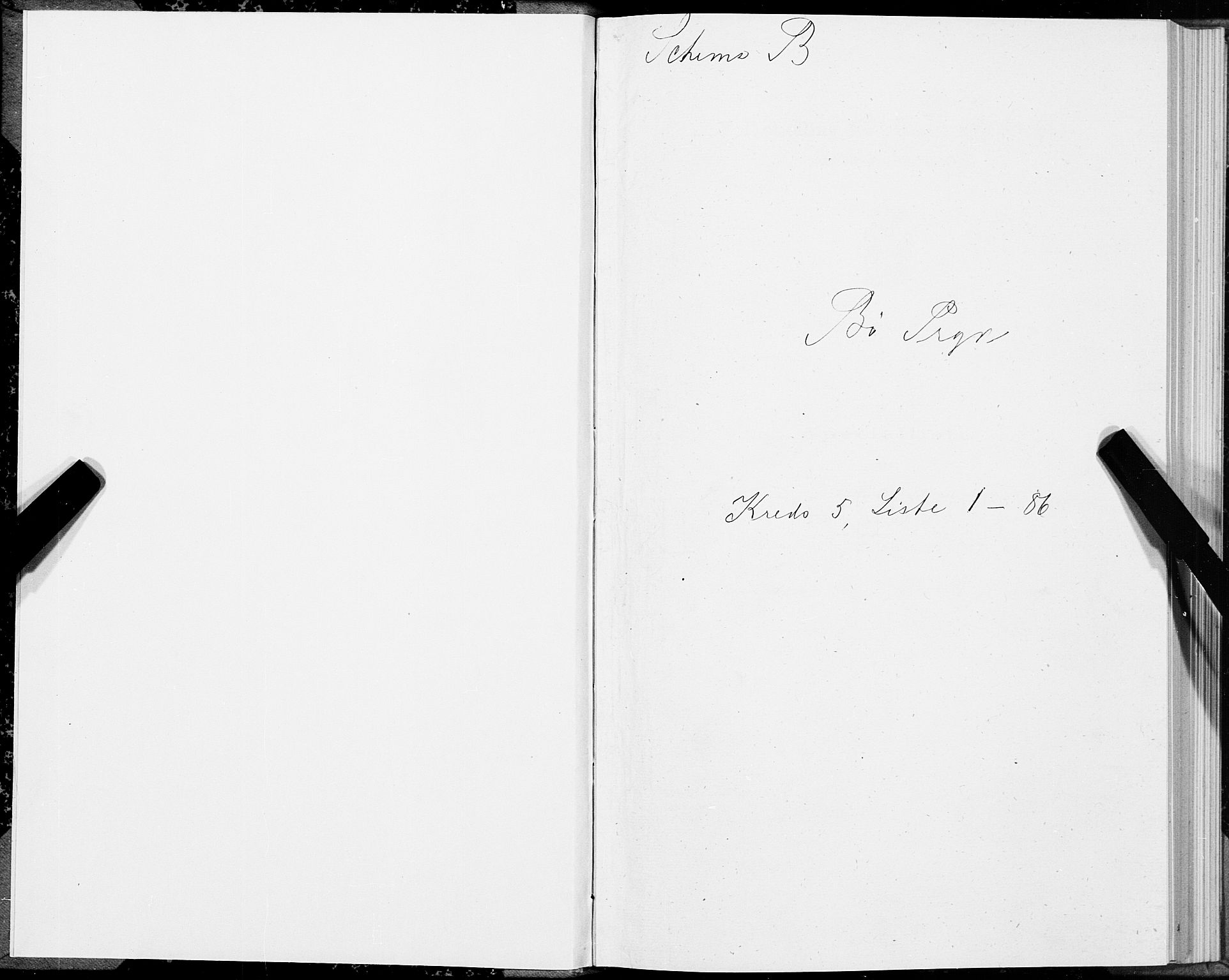 SAT, Folketelling 1875 for 1867P Bø prestegjeld, 1875